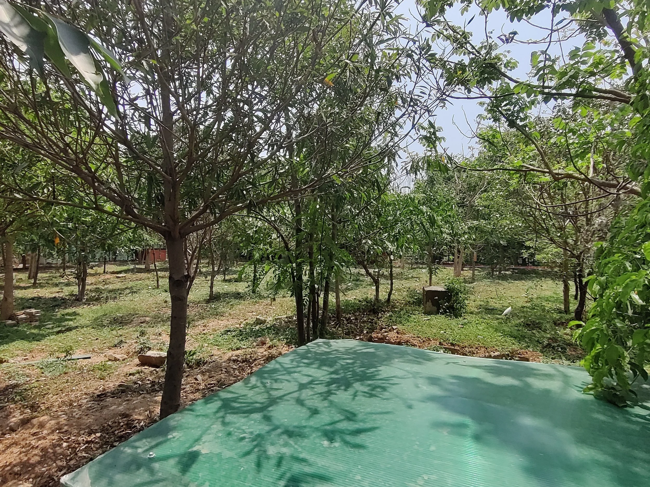 Tree park within SGKK