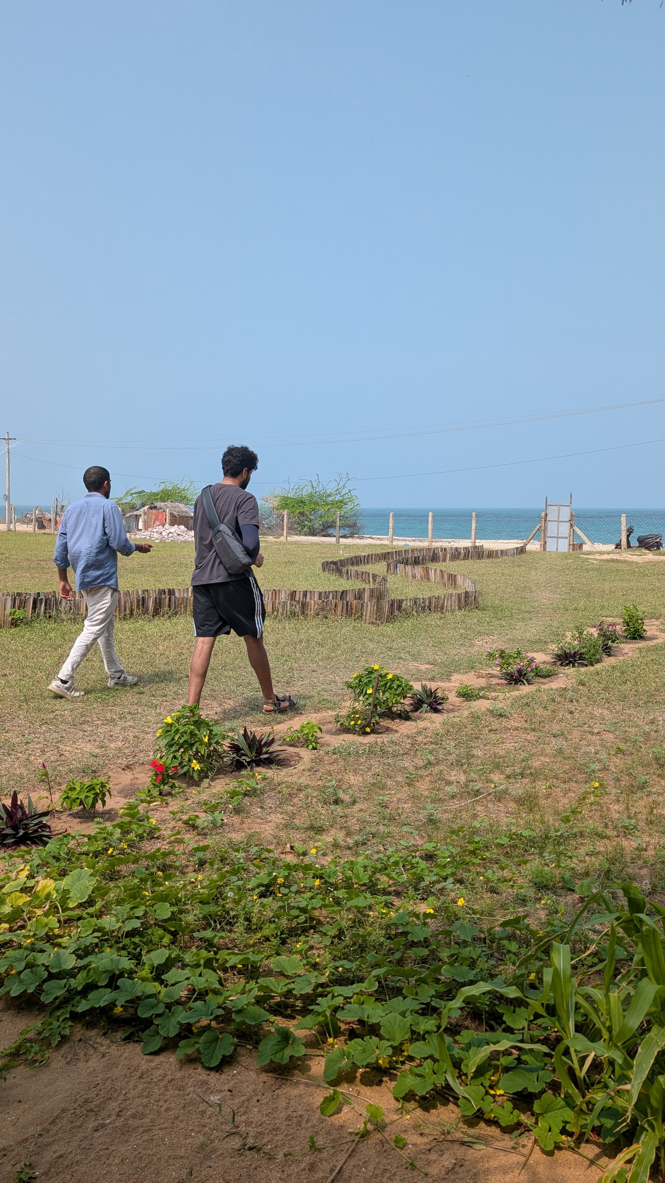 Visit 1 - Caretaker's garden