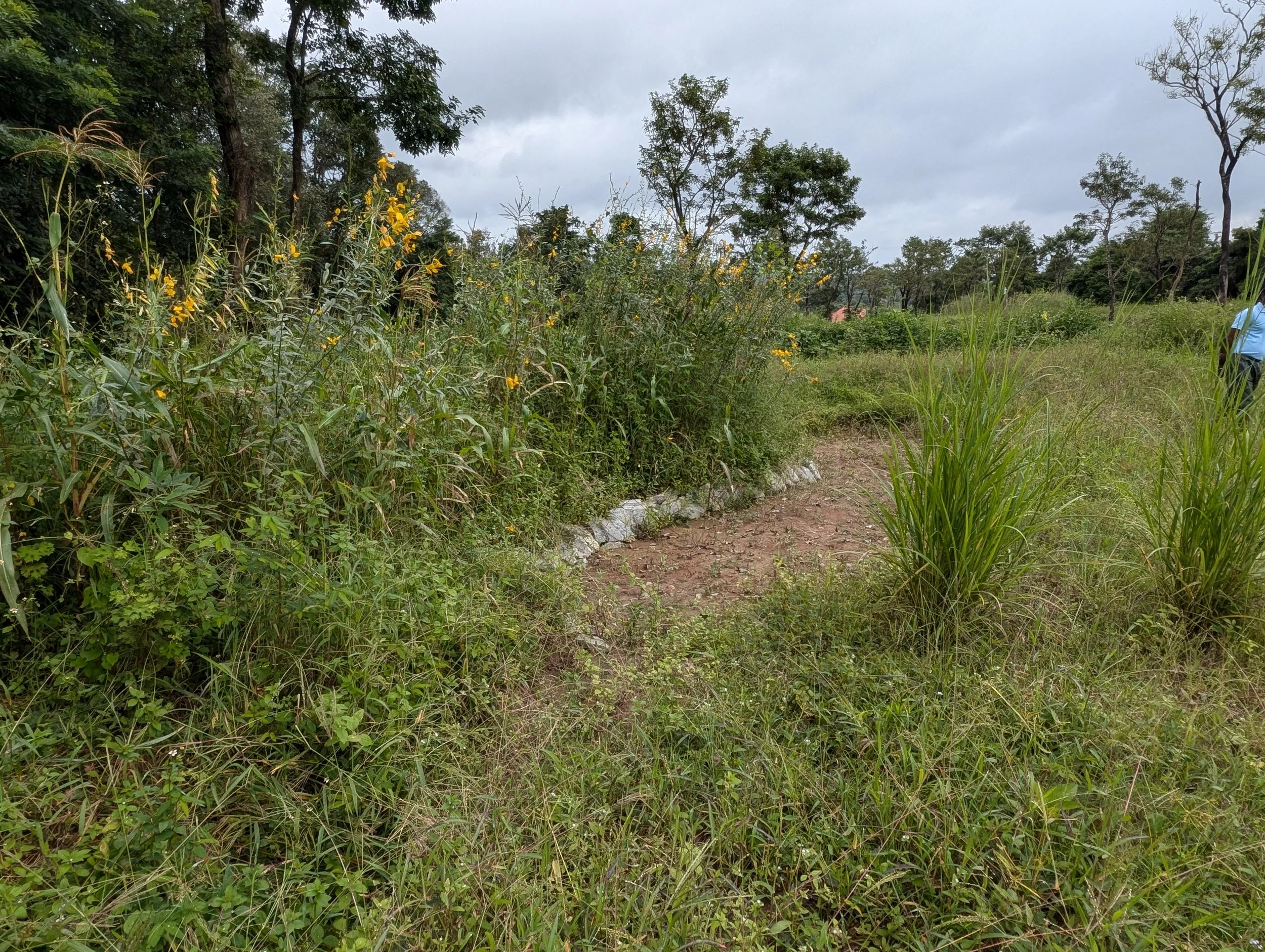 Basin 6 post-monsoon