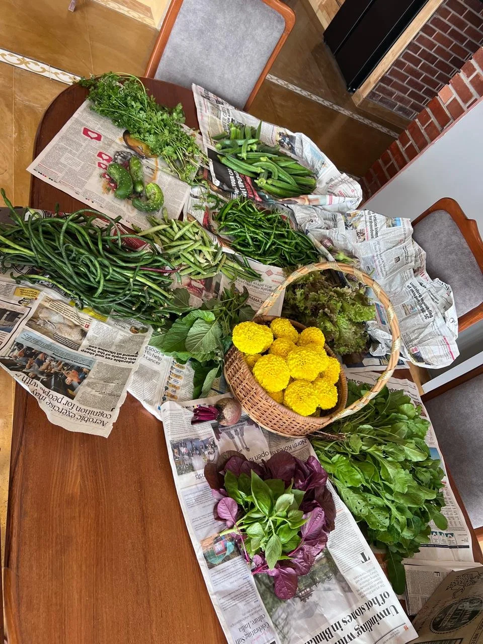 First harvest [photo from client]