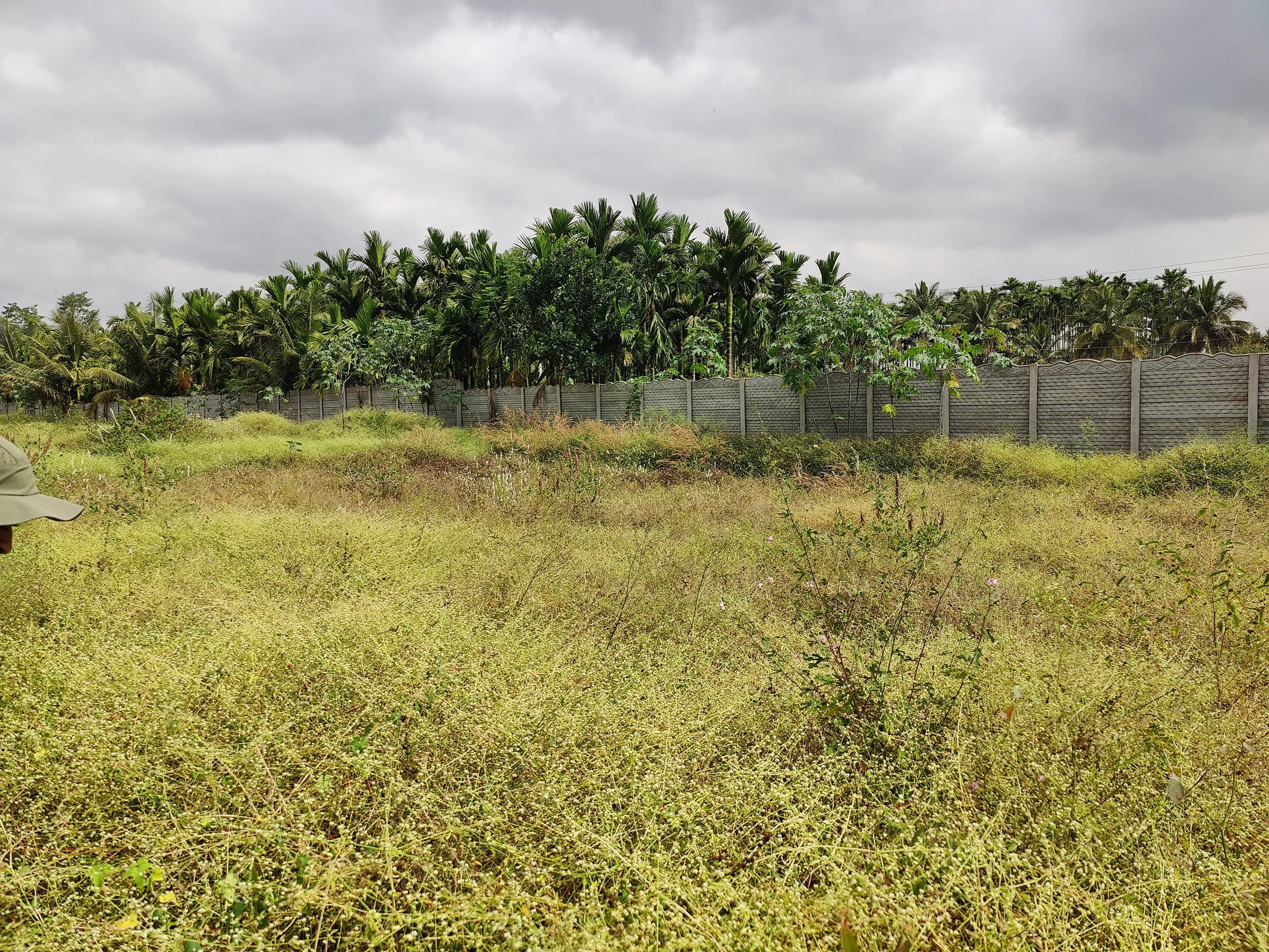 0.5 acres of area we focused on