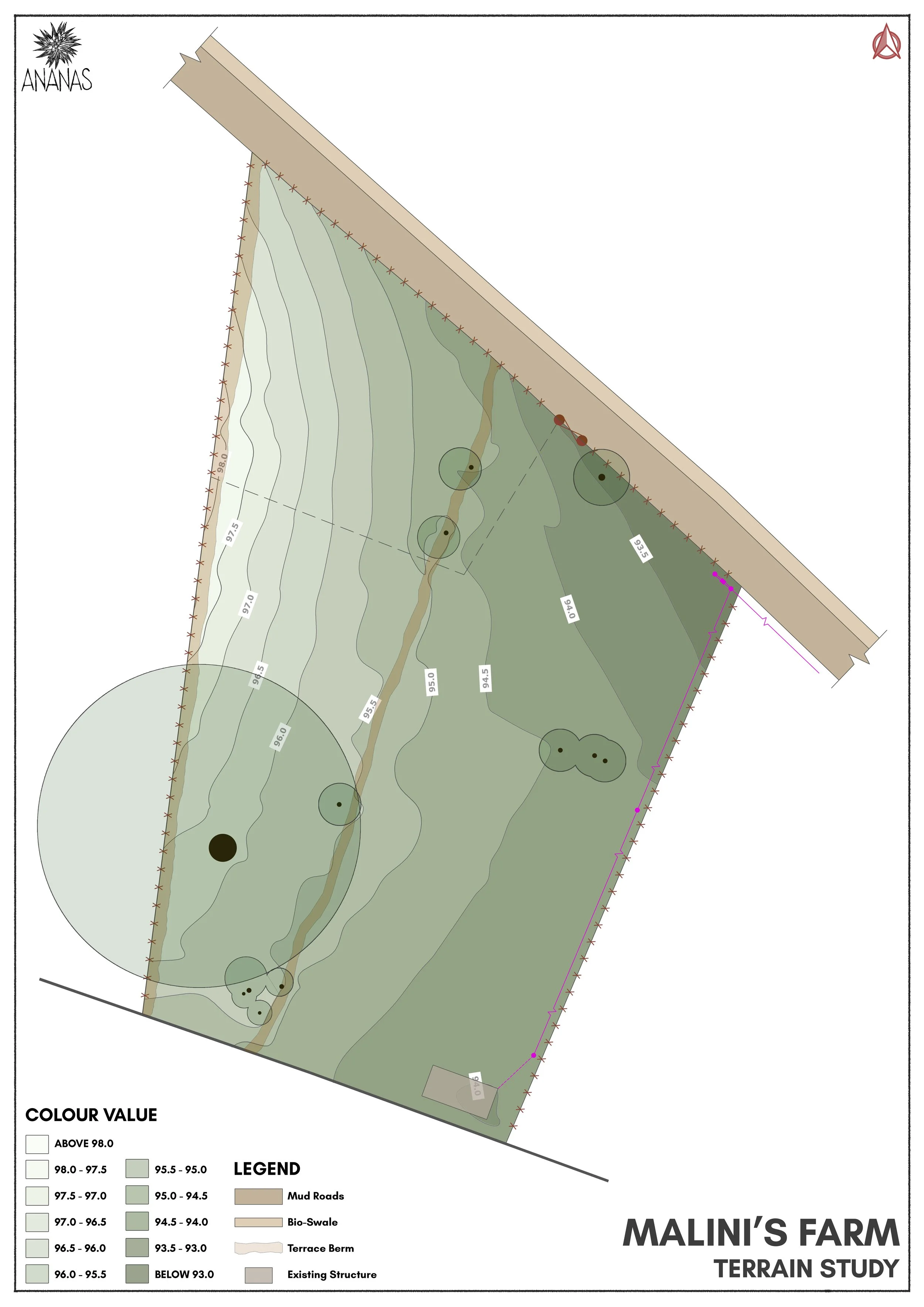2 - Elevation Study.jpg