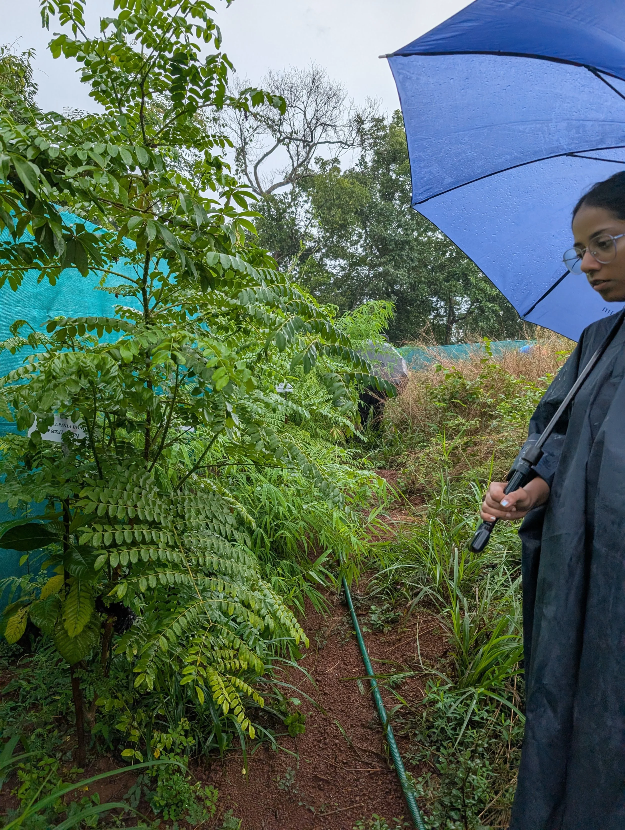 Observing growth on site