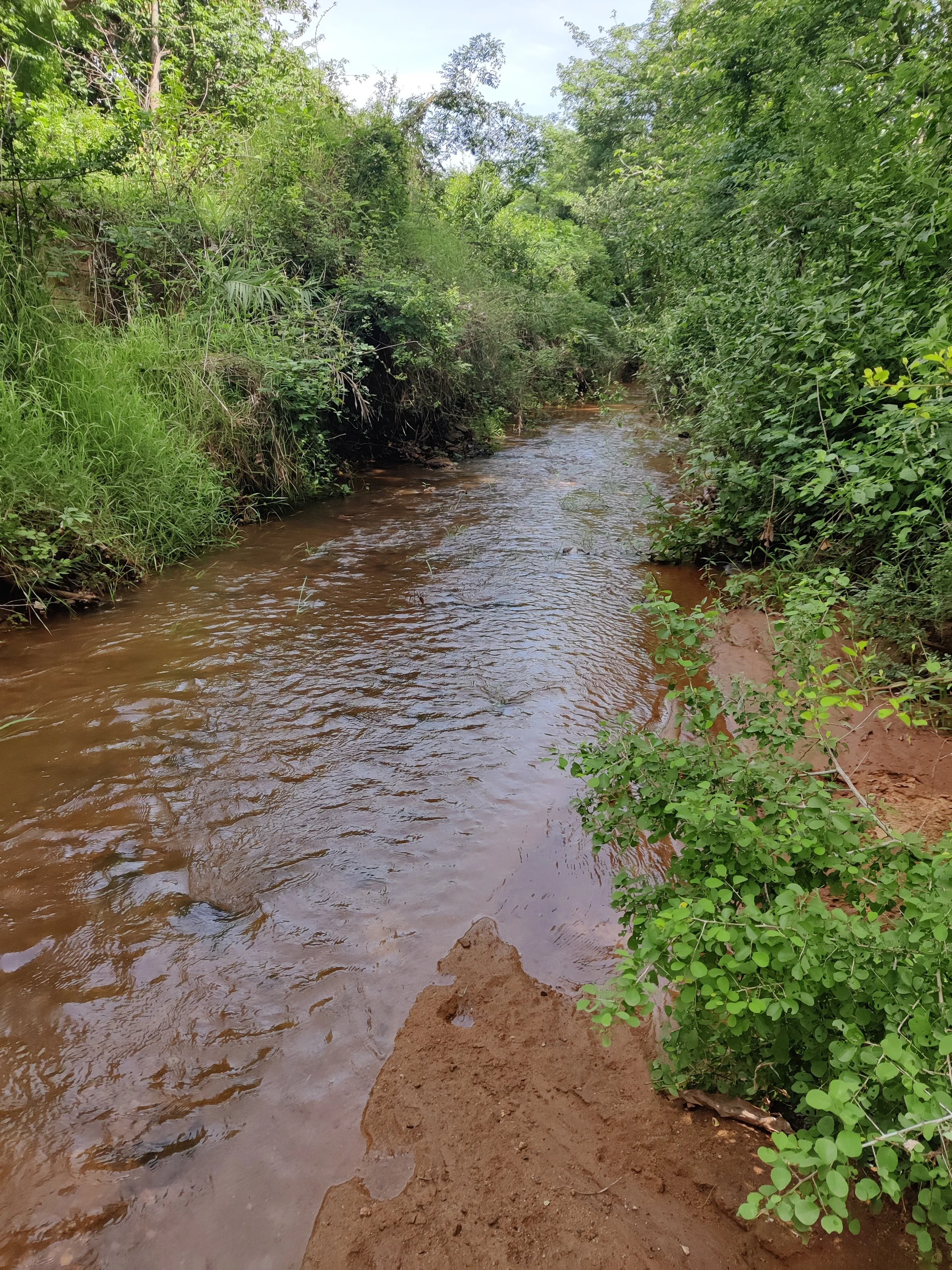 Vanathivodai canal next to site