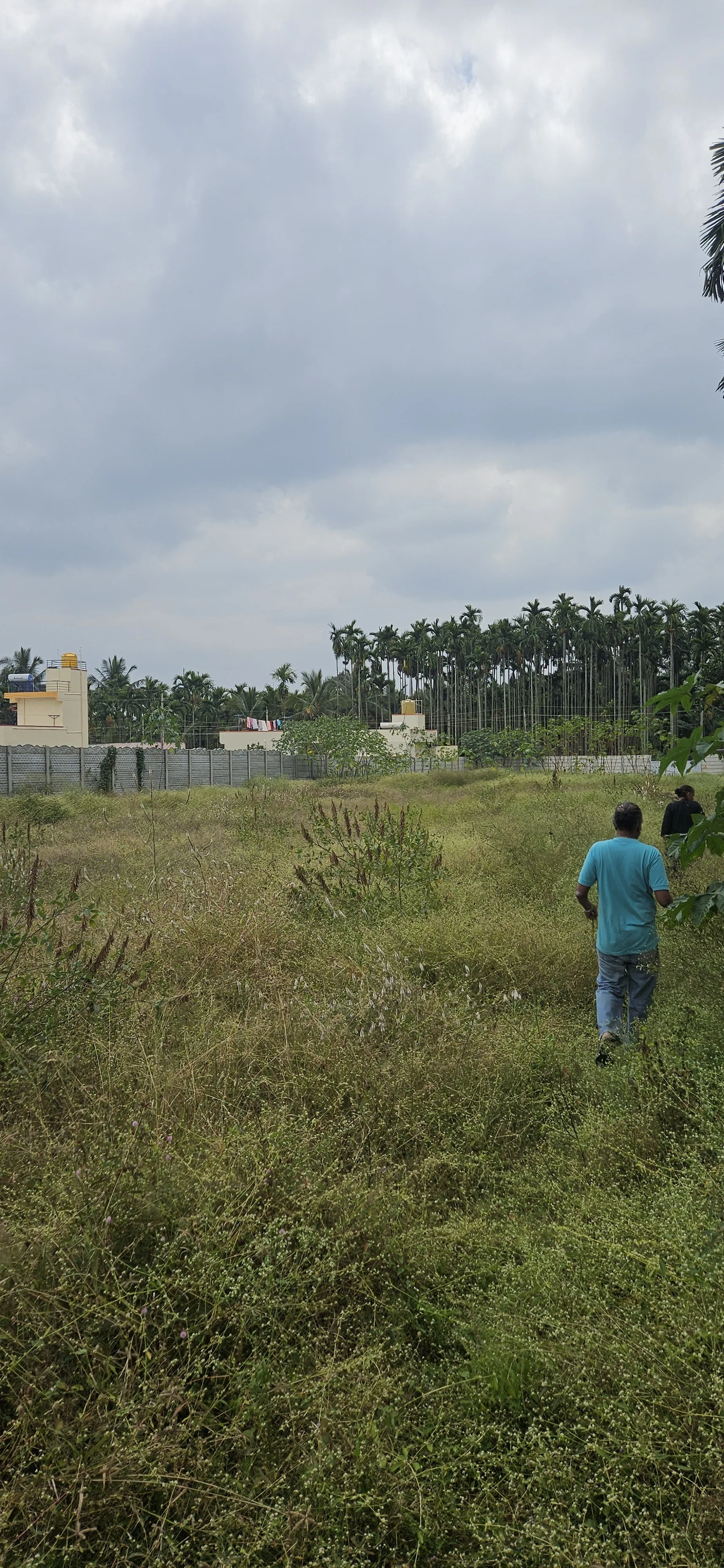 Nelamangala Farm