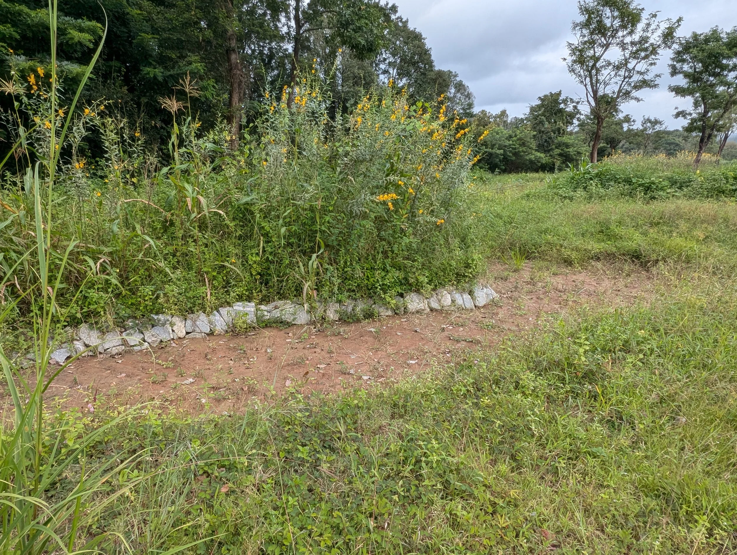 Basin 6 post-monsoon