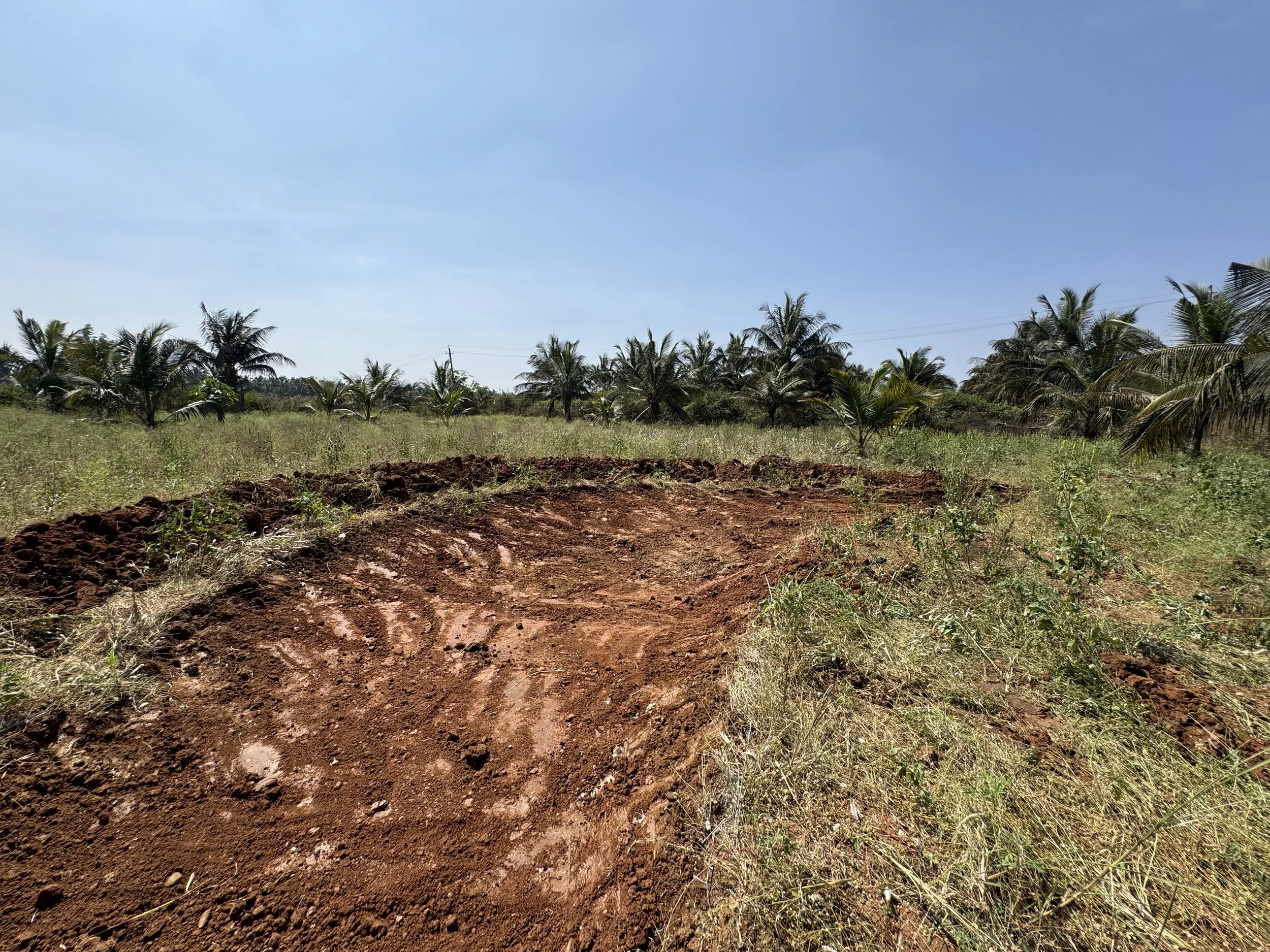 B1 slowing and infiltrating overflow from P1; it continues through the land in a planted bioswale into Pond 7 (P7)