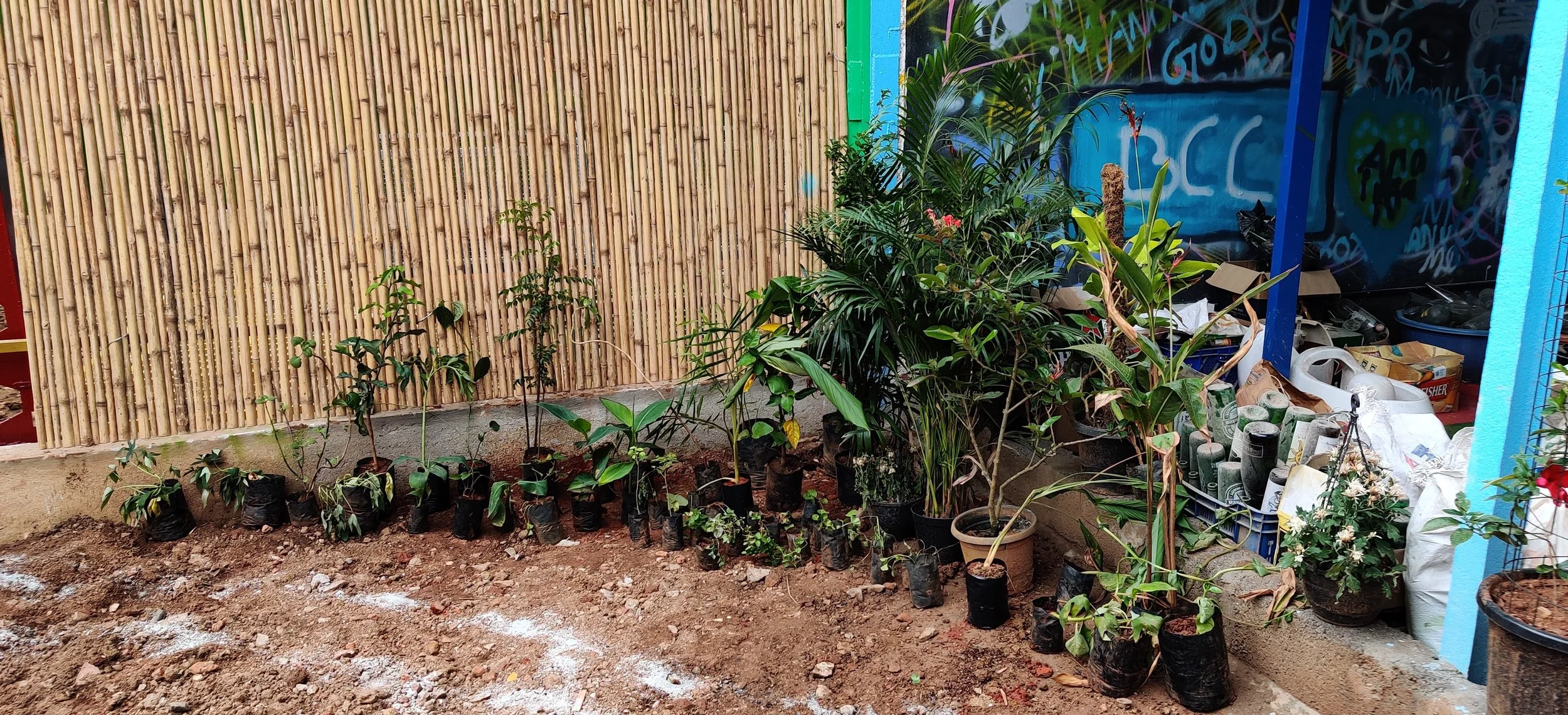 Plants separated into zones