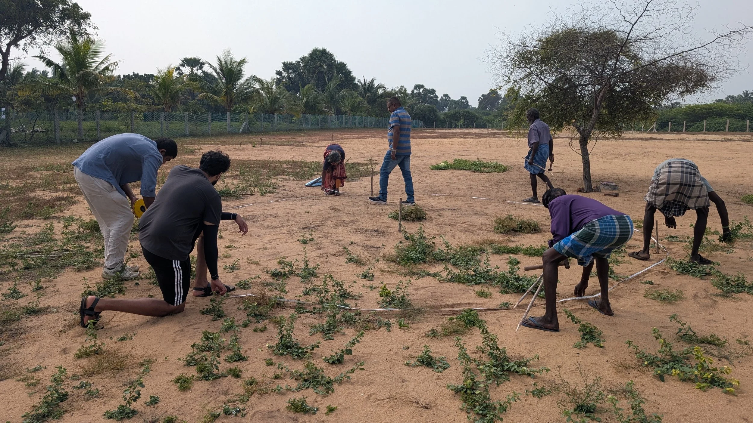 Visit 1 - Marking the mandala garden