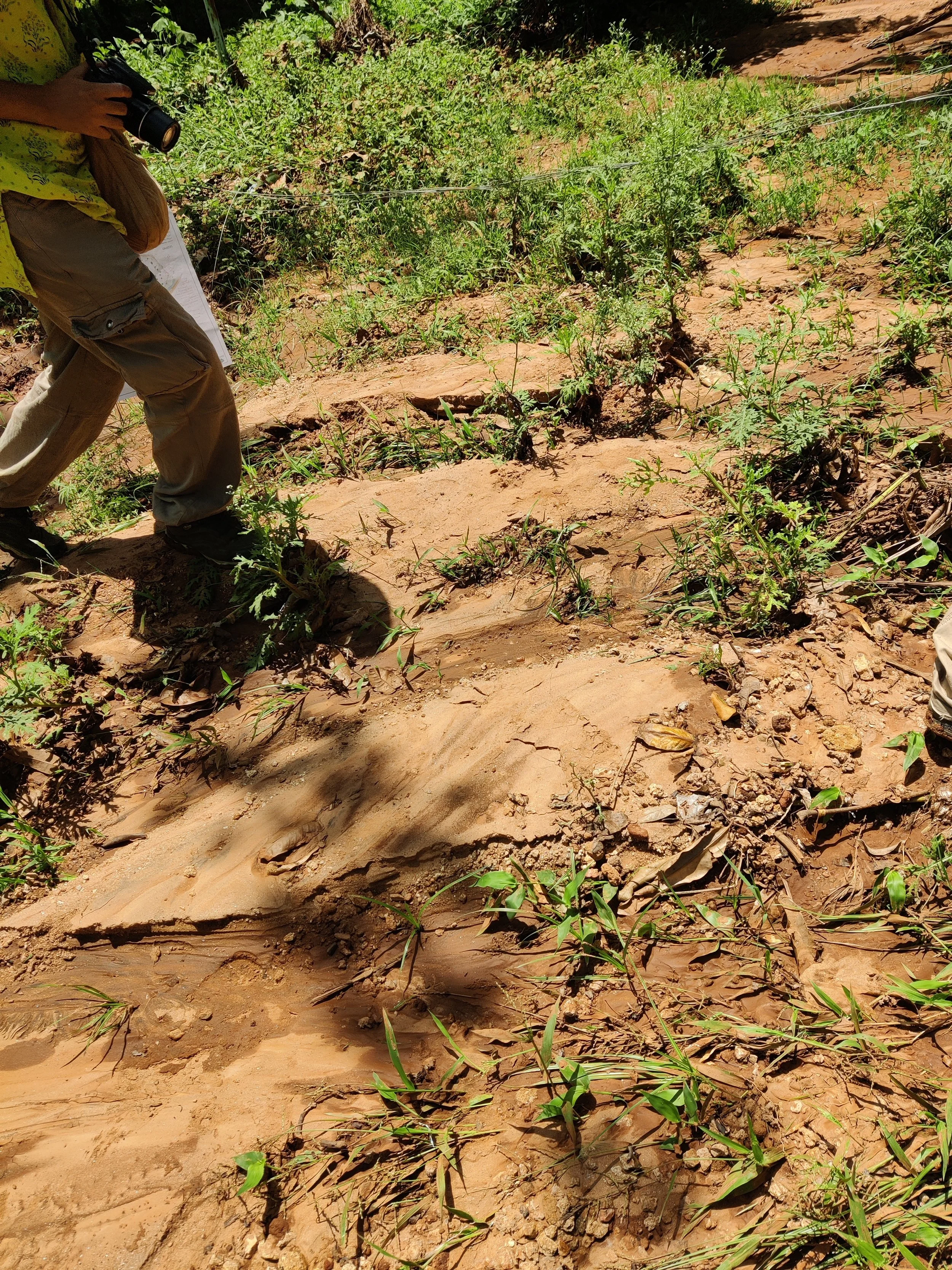Silt flows into site
