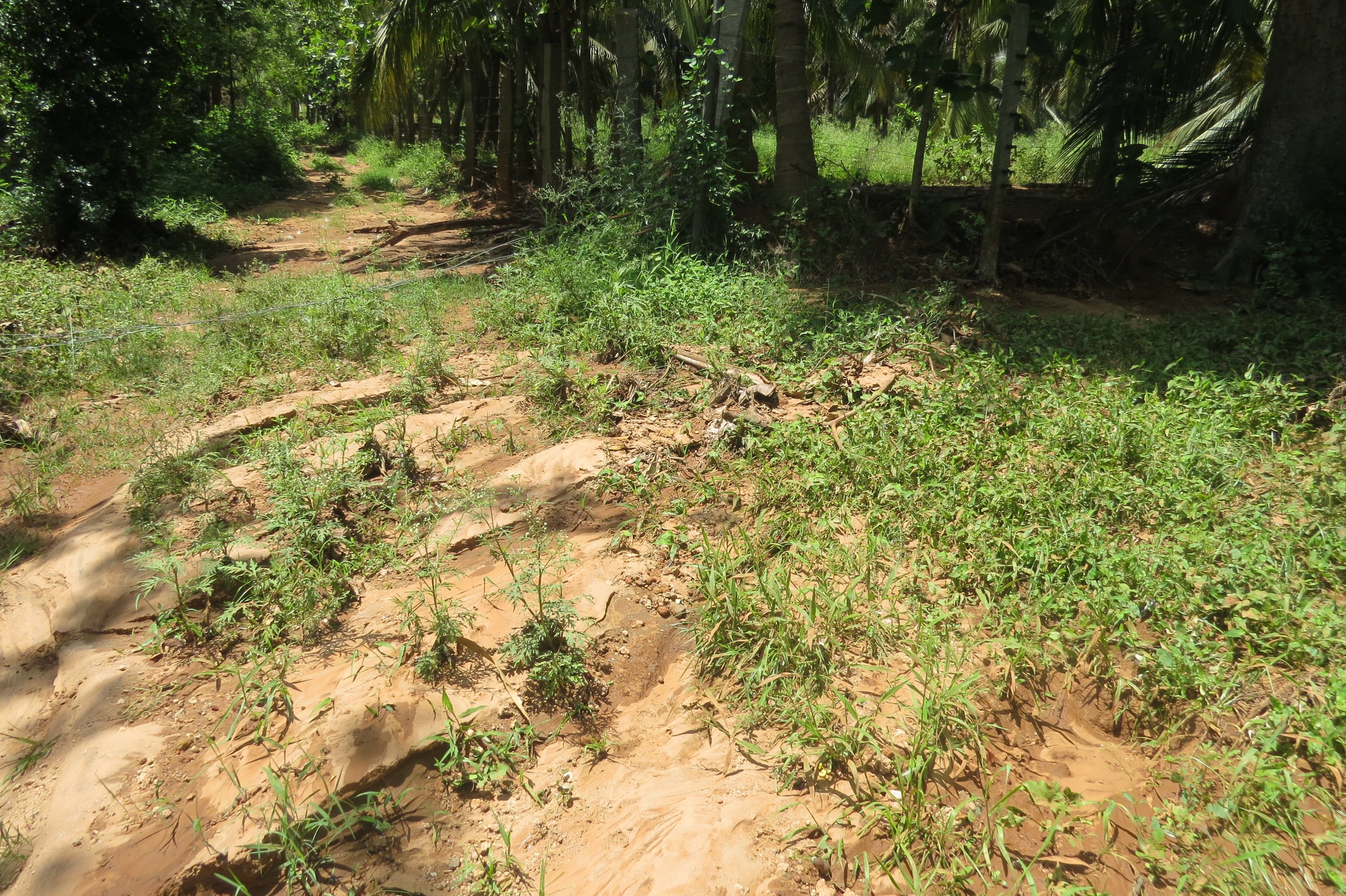 Silt flows into site