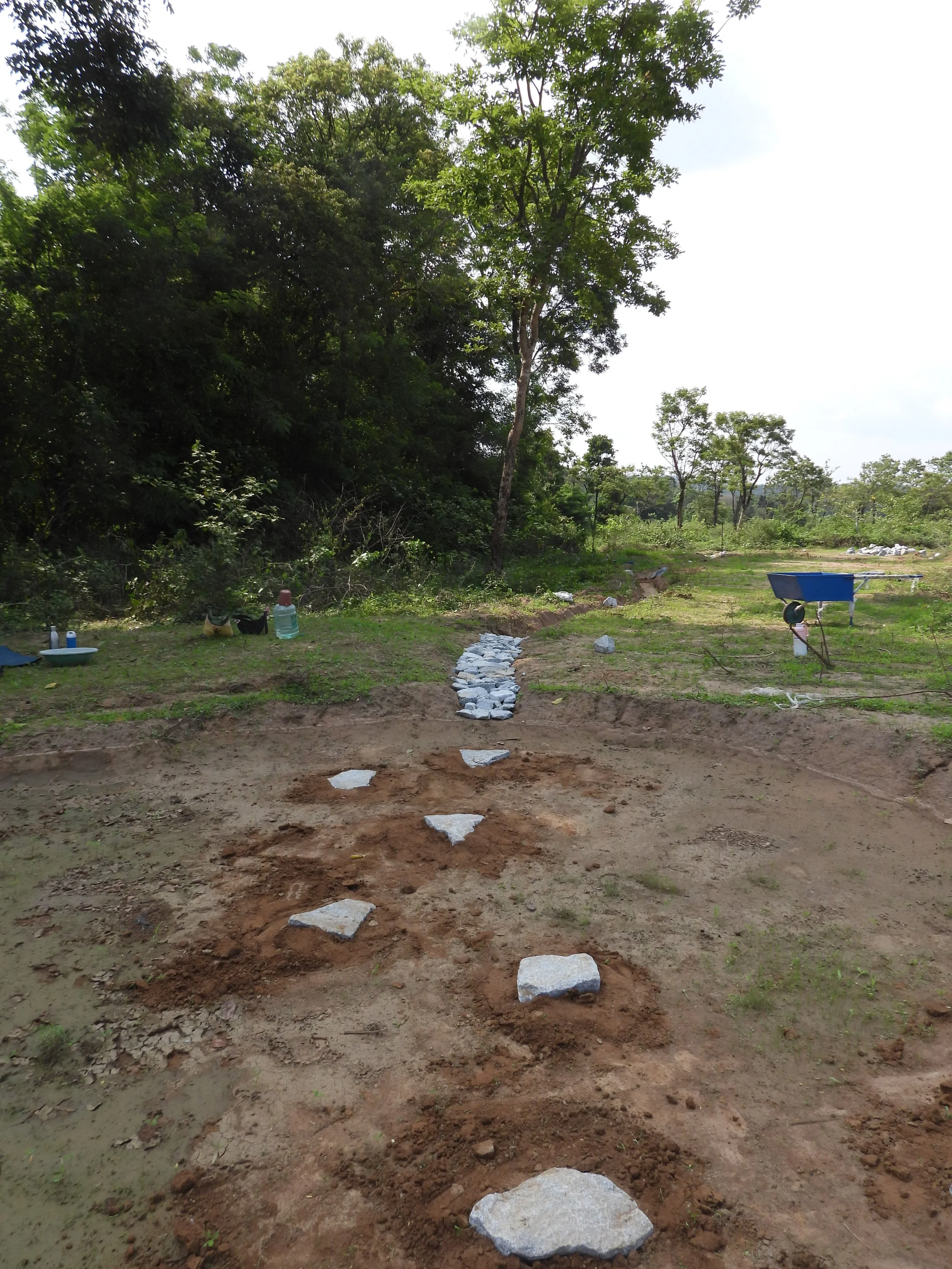 Basins 4 and 5 - stepping stones