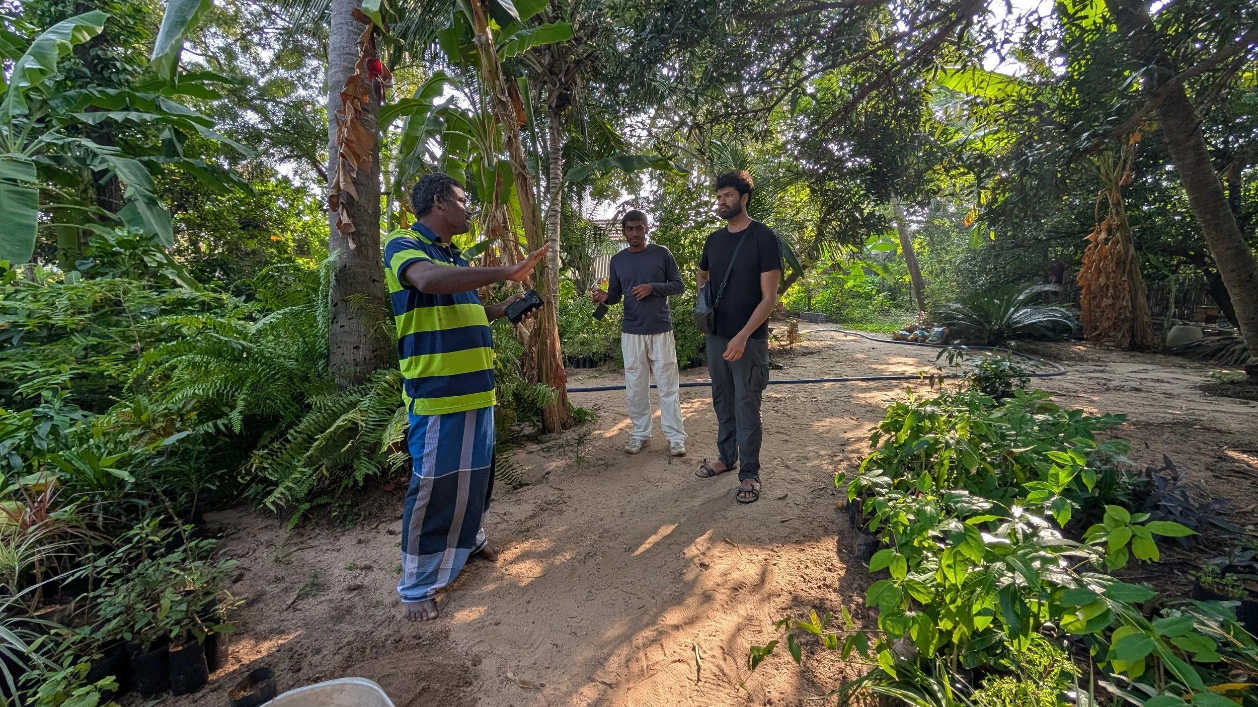 Visit 1 - Plant procurement