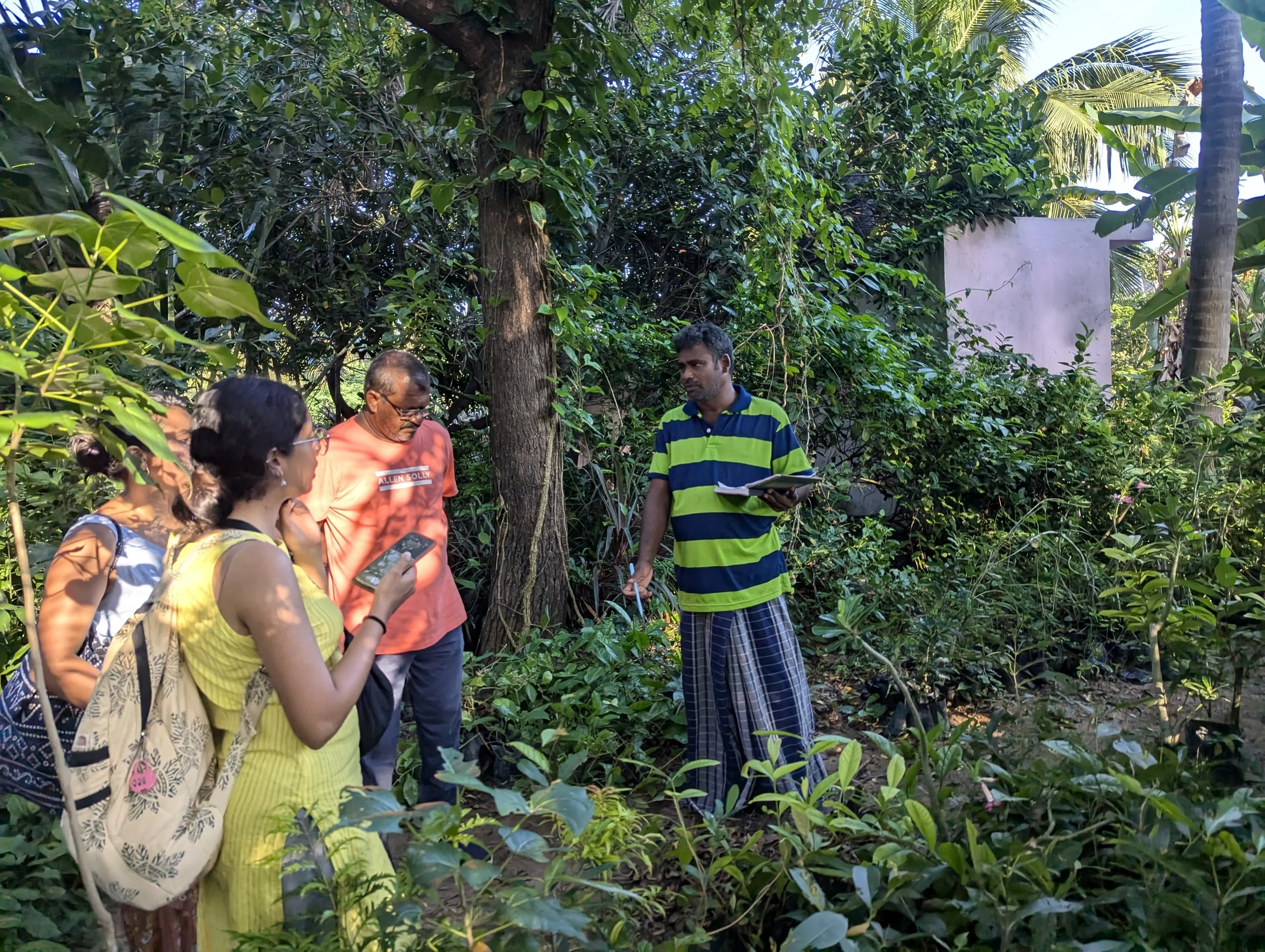 Visit 2 - Plant procurement