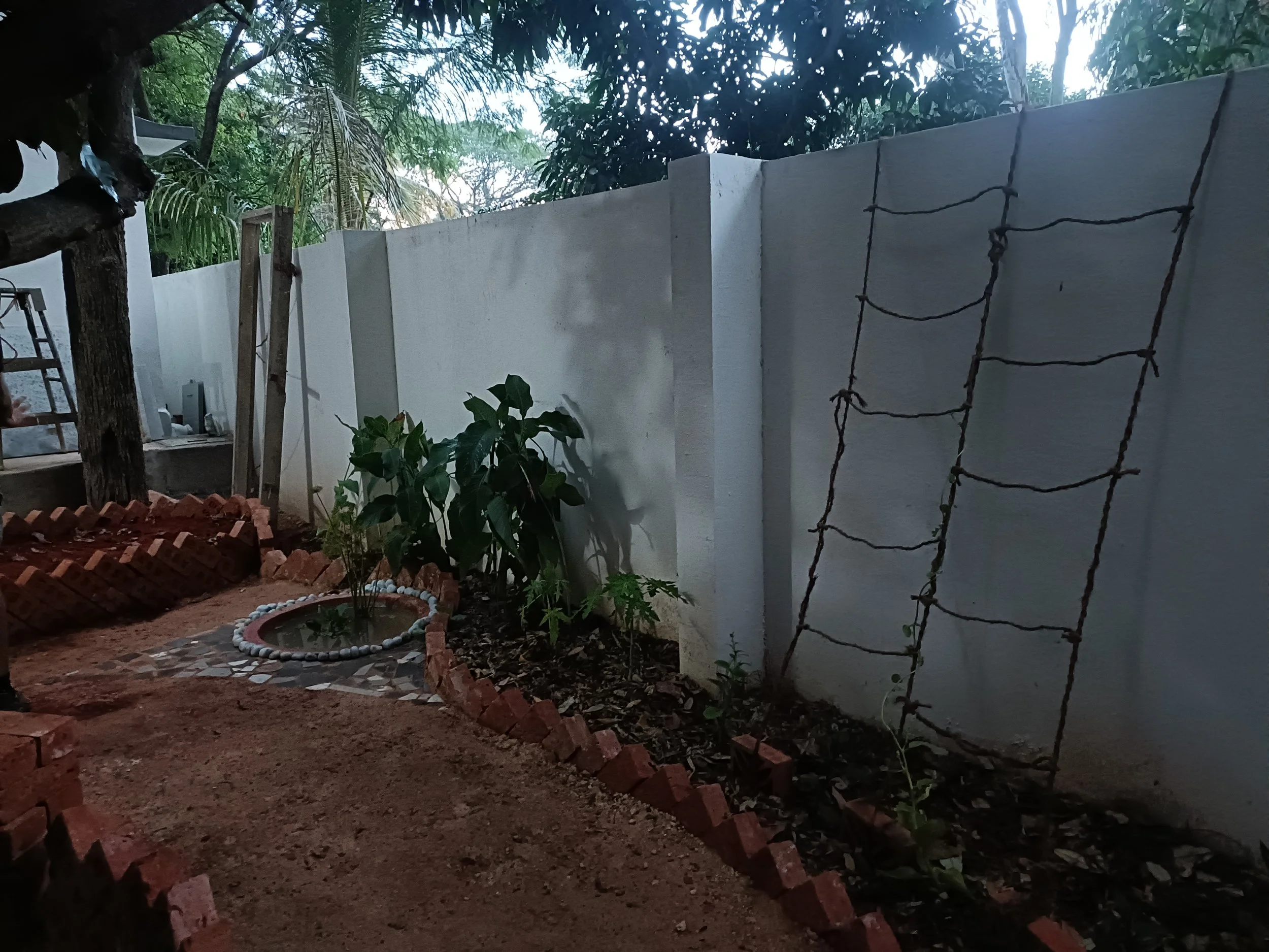 View of backyard garden