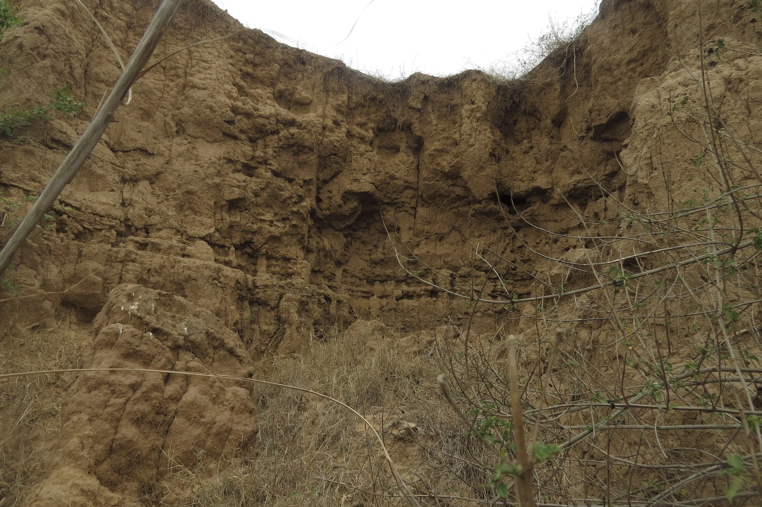 10-15m drop (western parcel) due to terracing