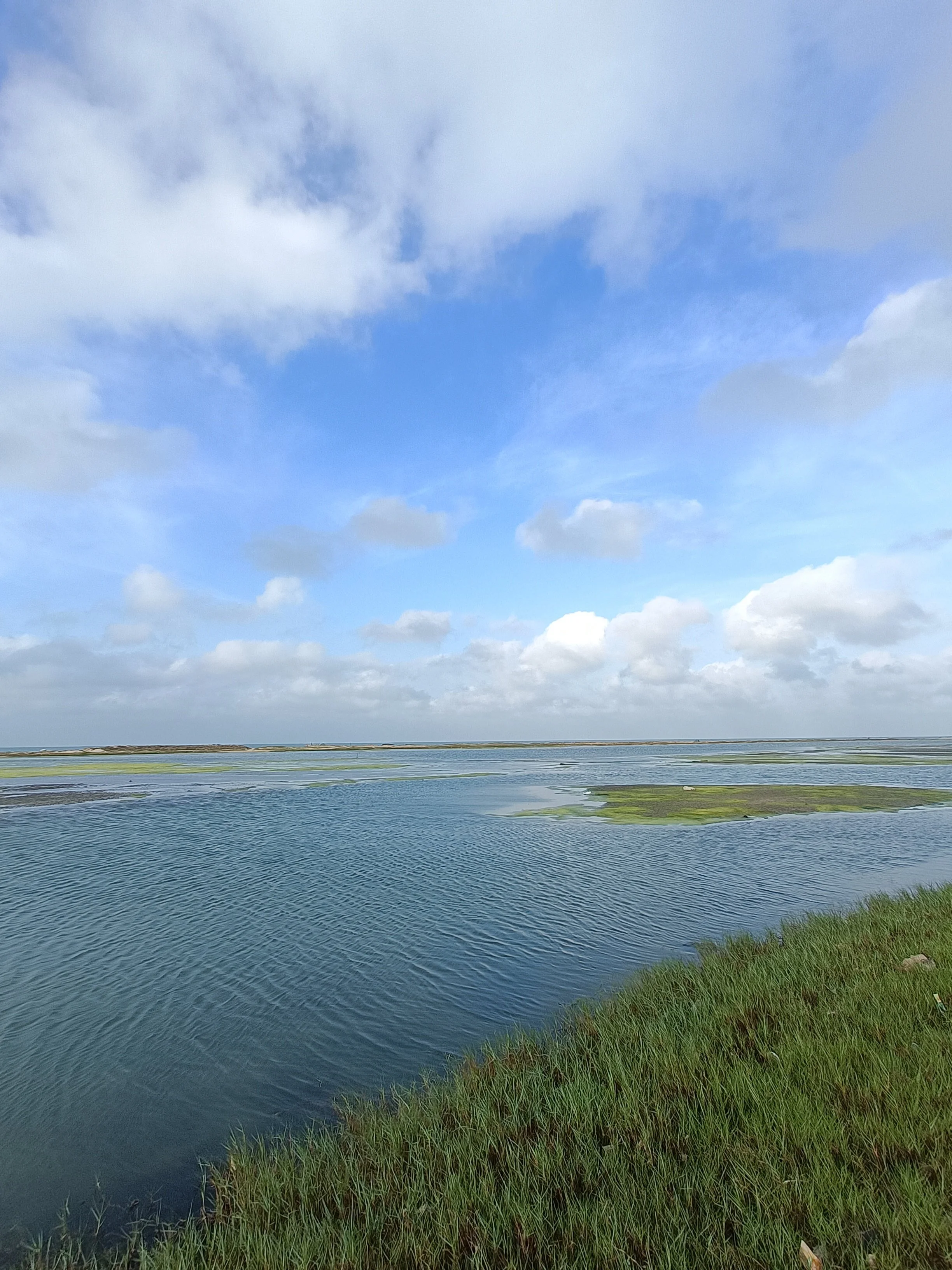 Dhanushkodi - intertidal zones