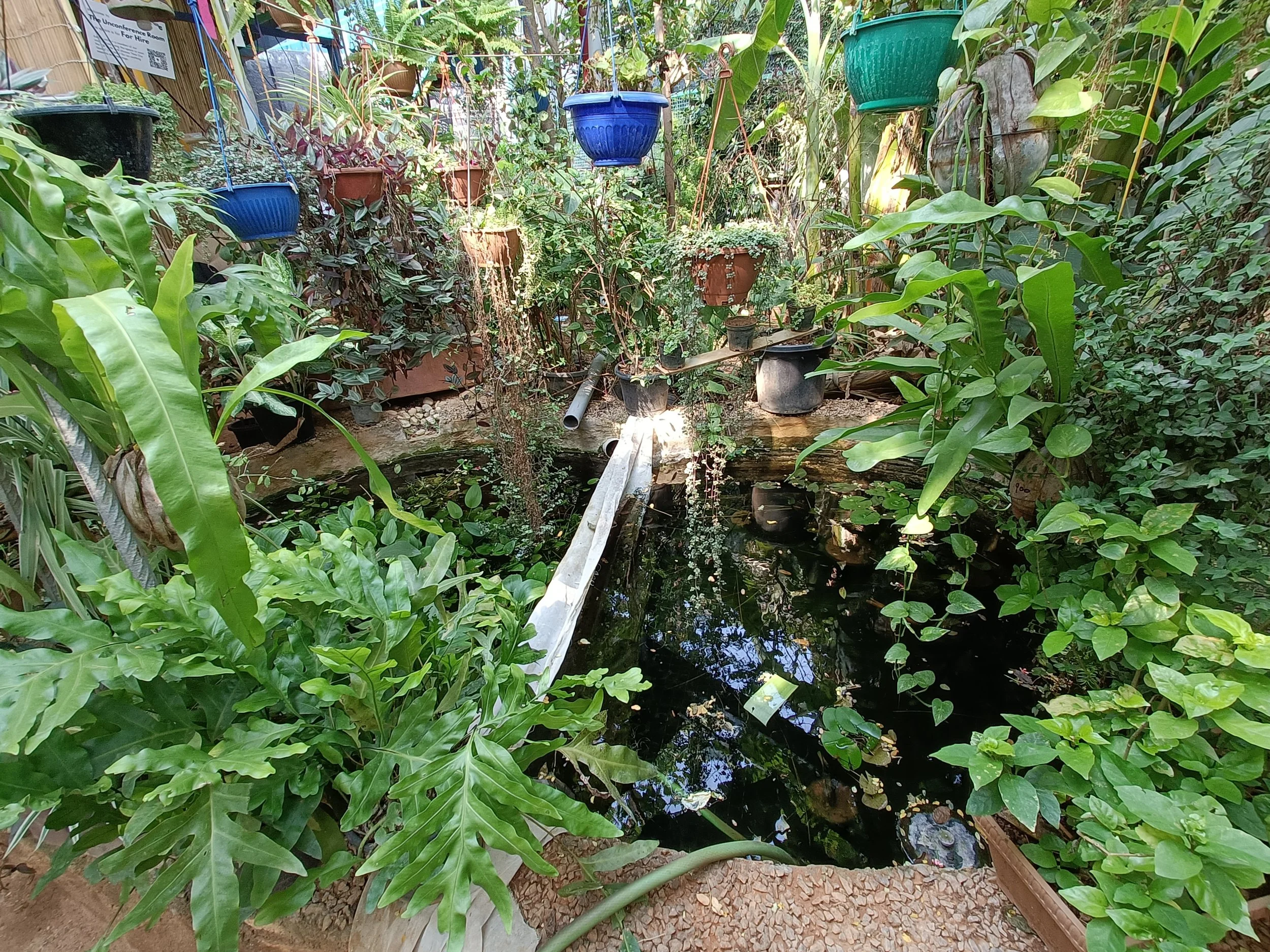 IMG20250422151910 (1).jpg