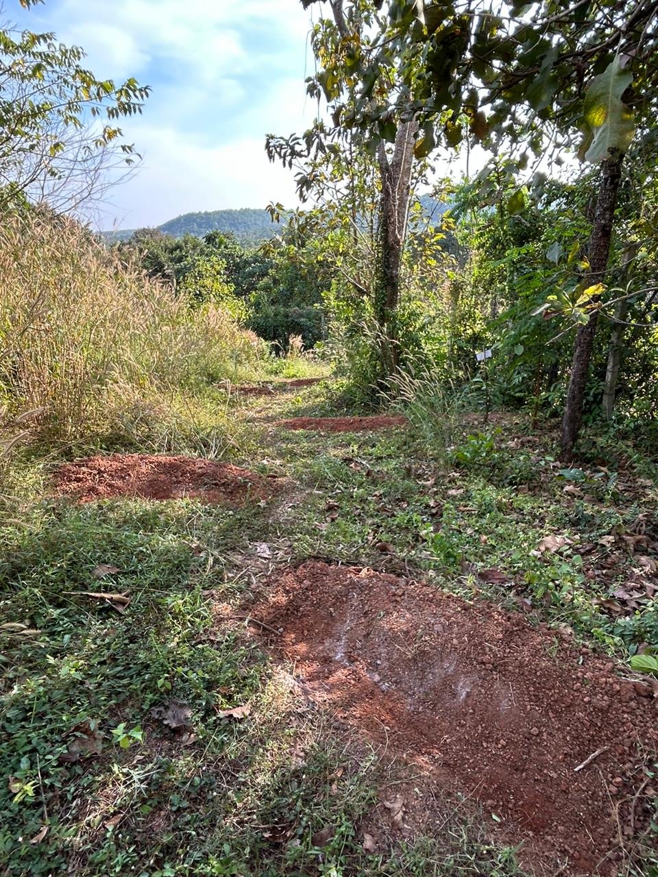 trenches for slowing down water