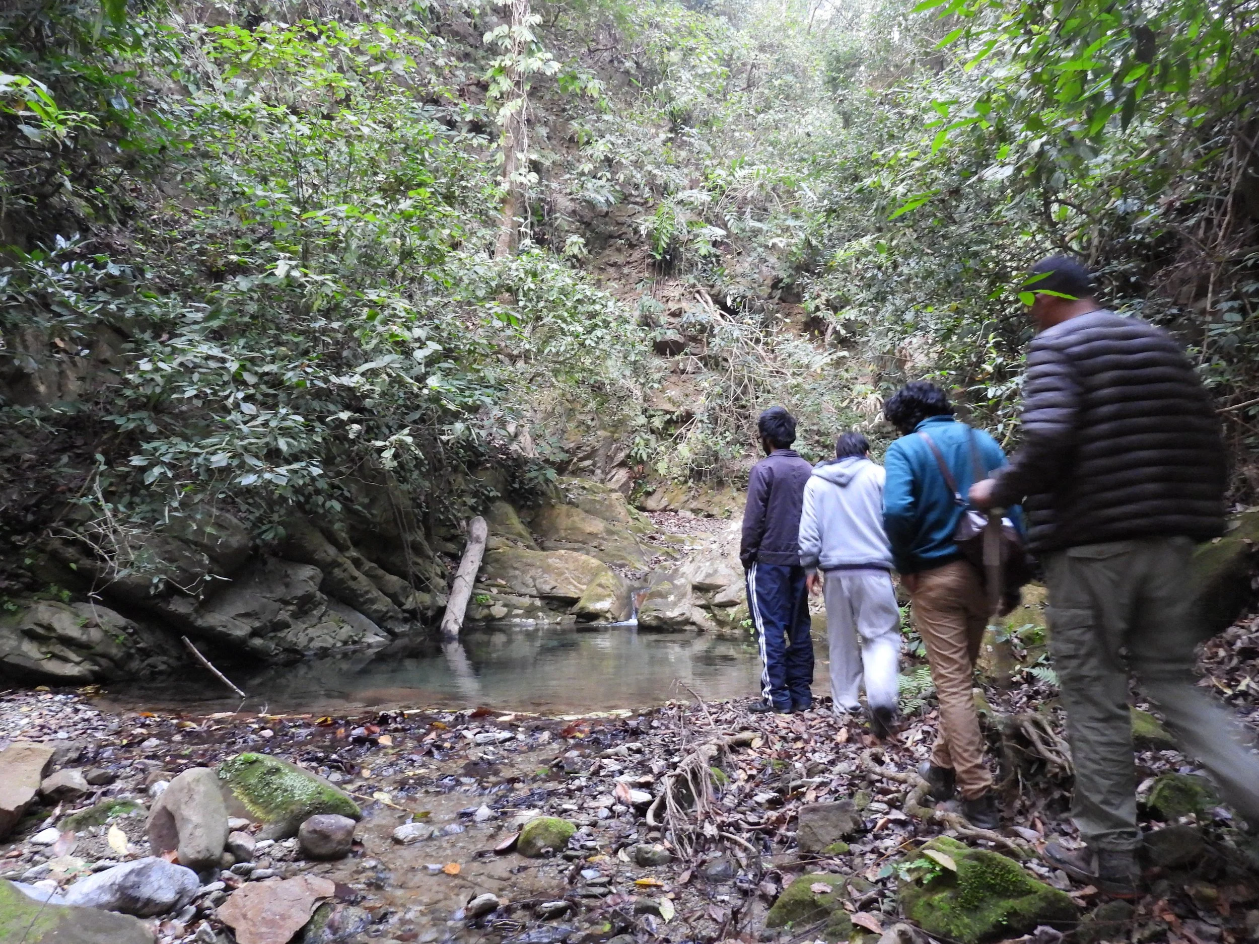 Exploring the nala - wading through a tiger pool