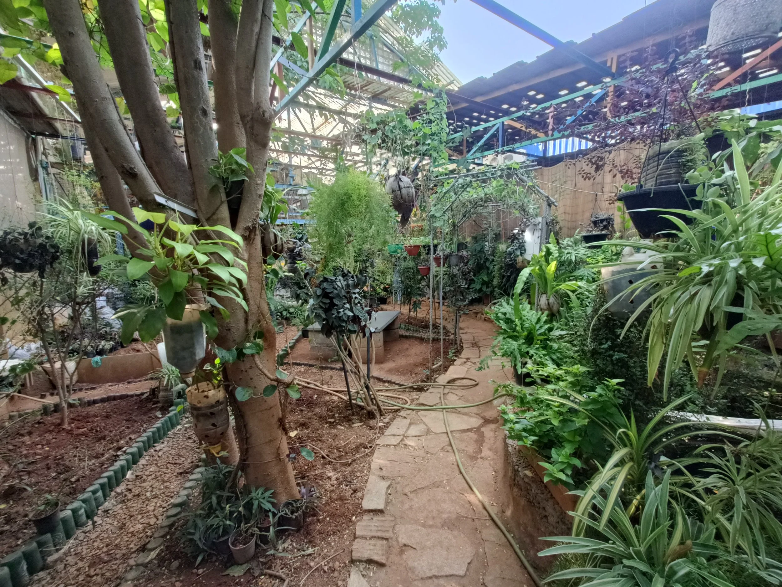 IMG20250422152343 (1).jpg