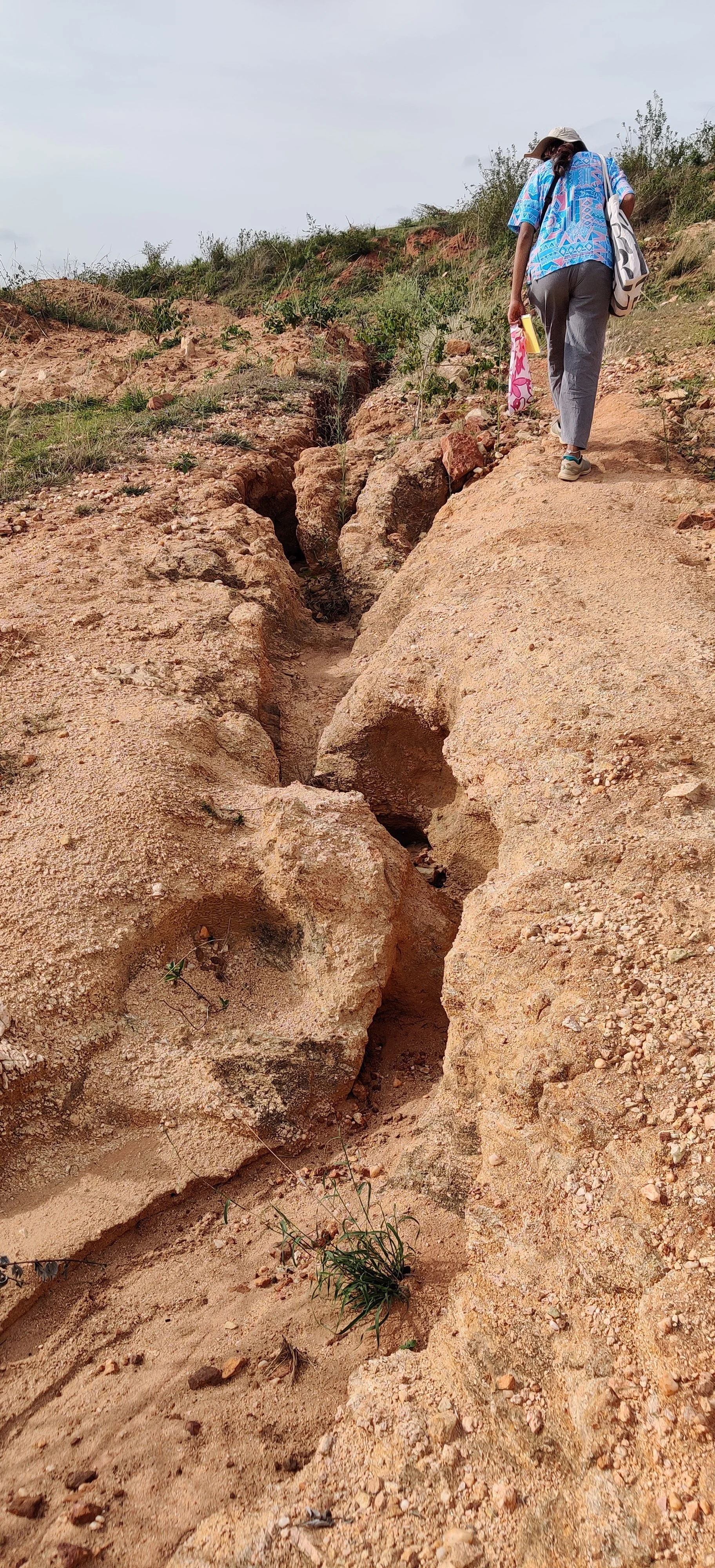 Head cuts observed on site