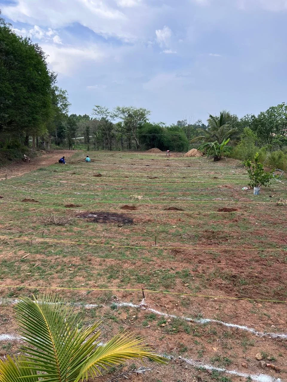 After marking concentric, on-contour rows [photo from client]