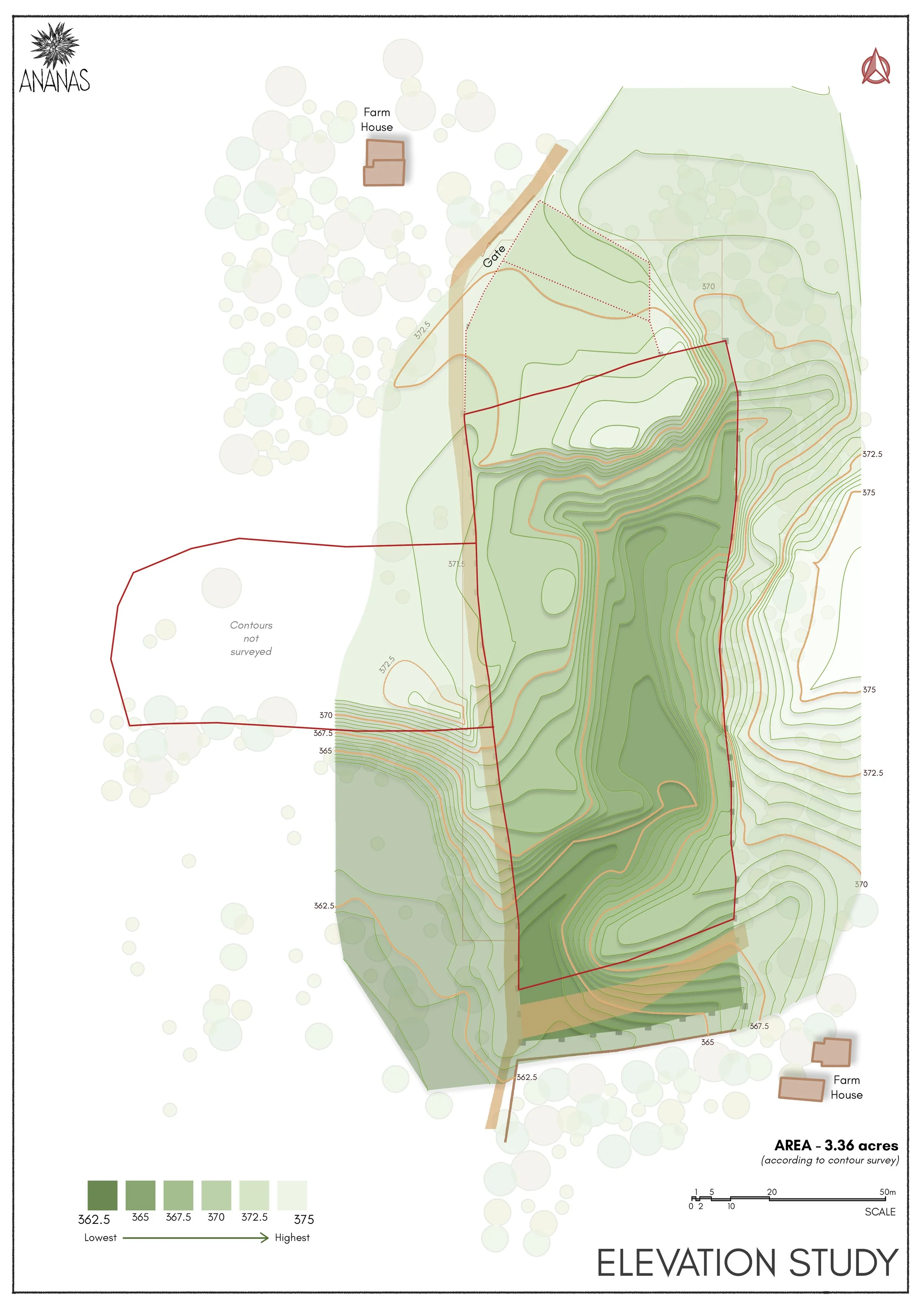 4 - Elevation Study.jpg