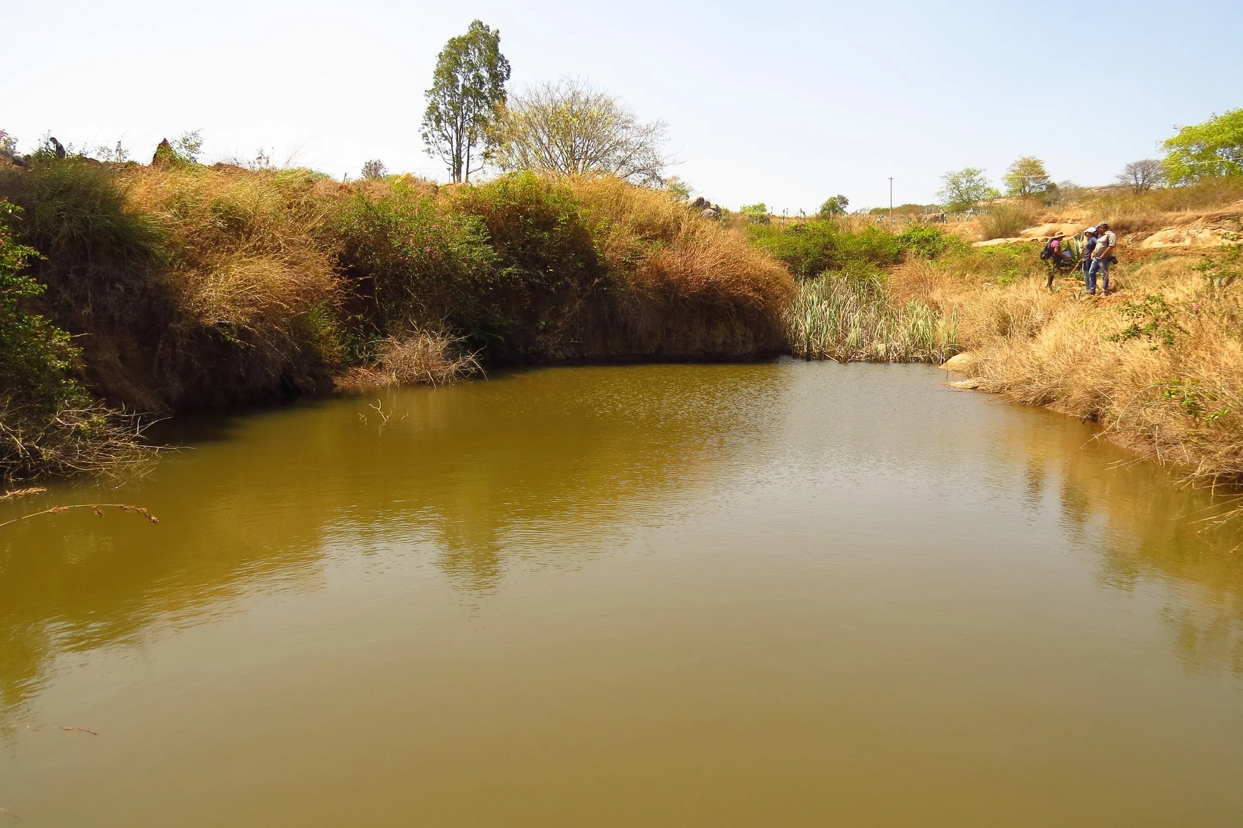 Neighbouring community Pond