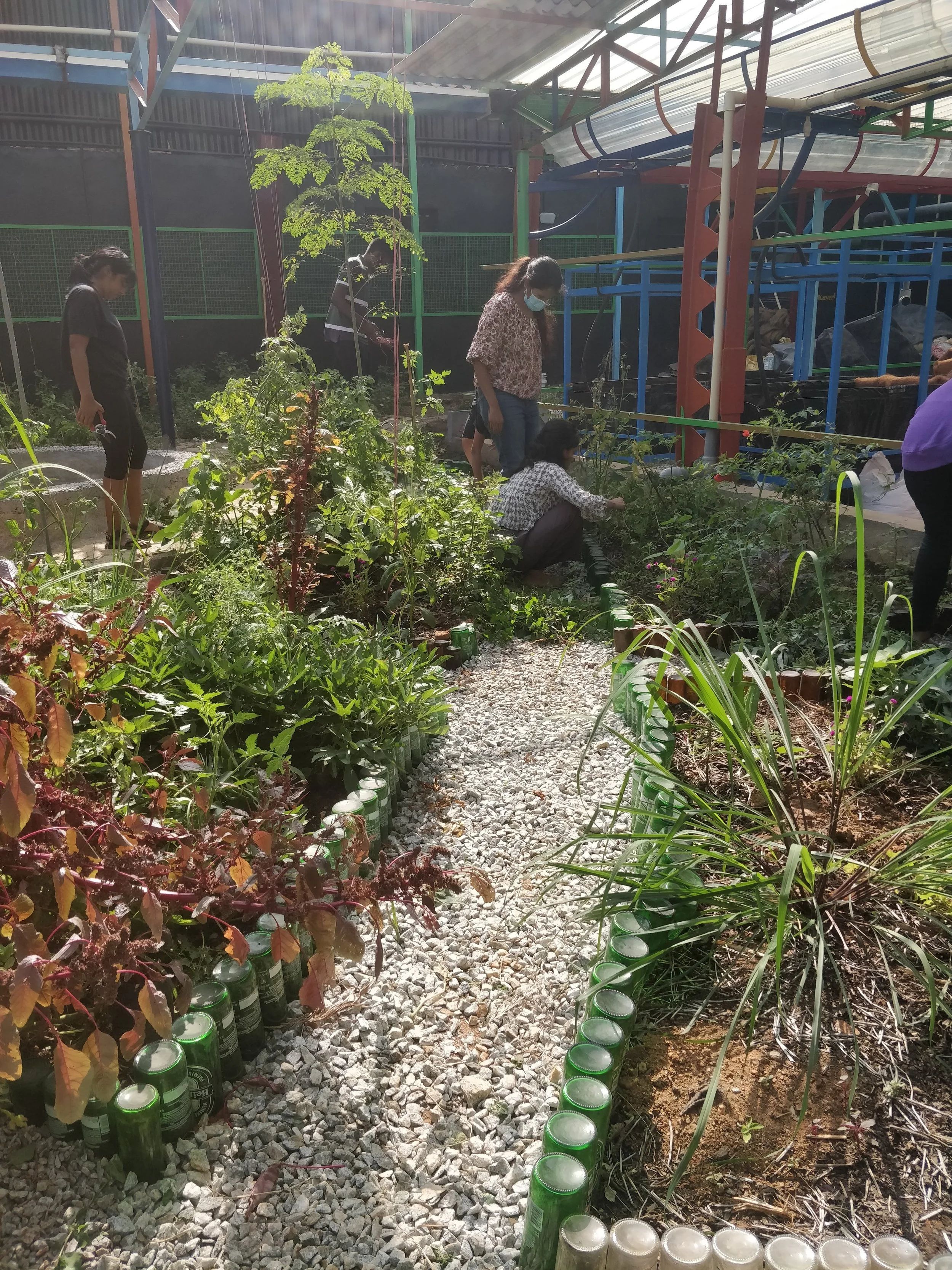 Mulching and pruning