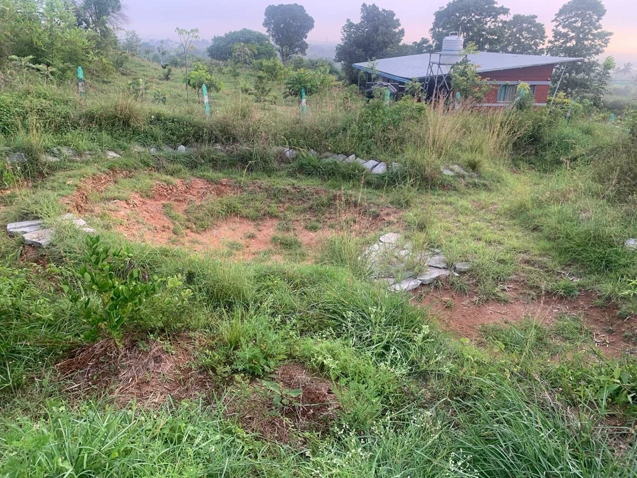 Pond 2 right after monsoons