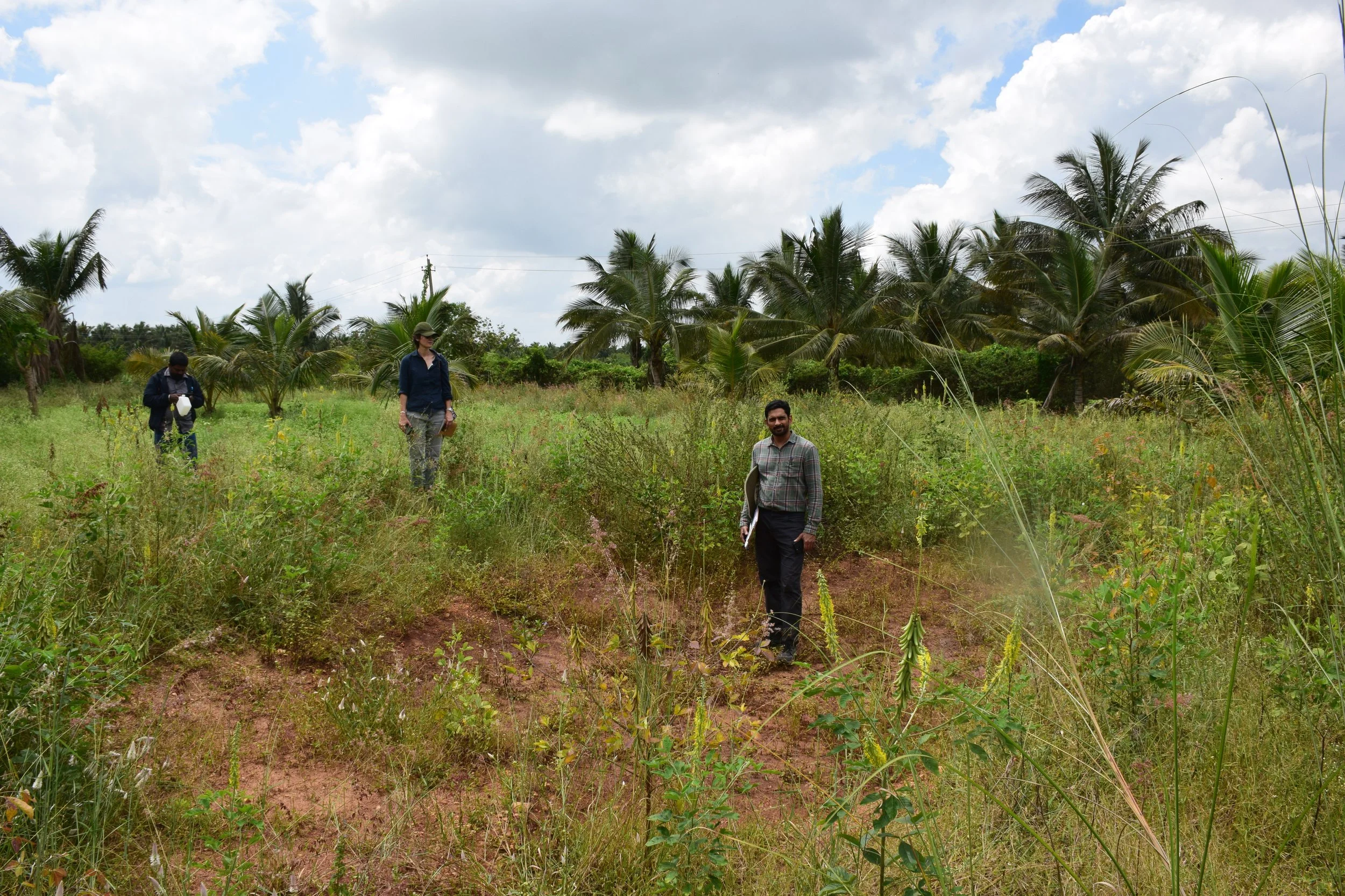Basin 1 hydrating the landscape