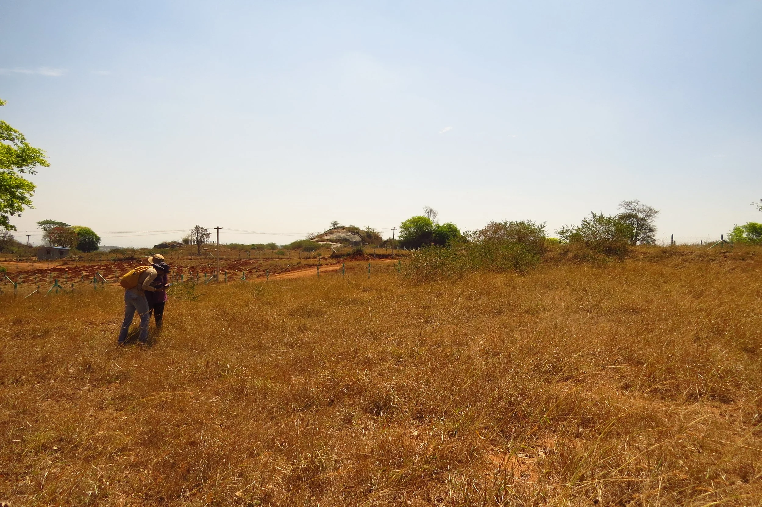 View of site in March