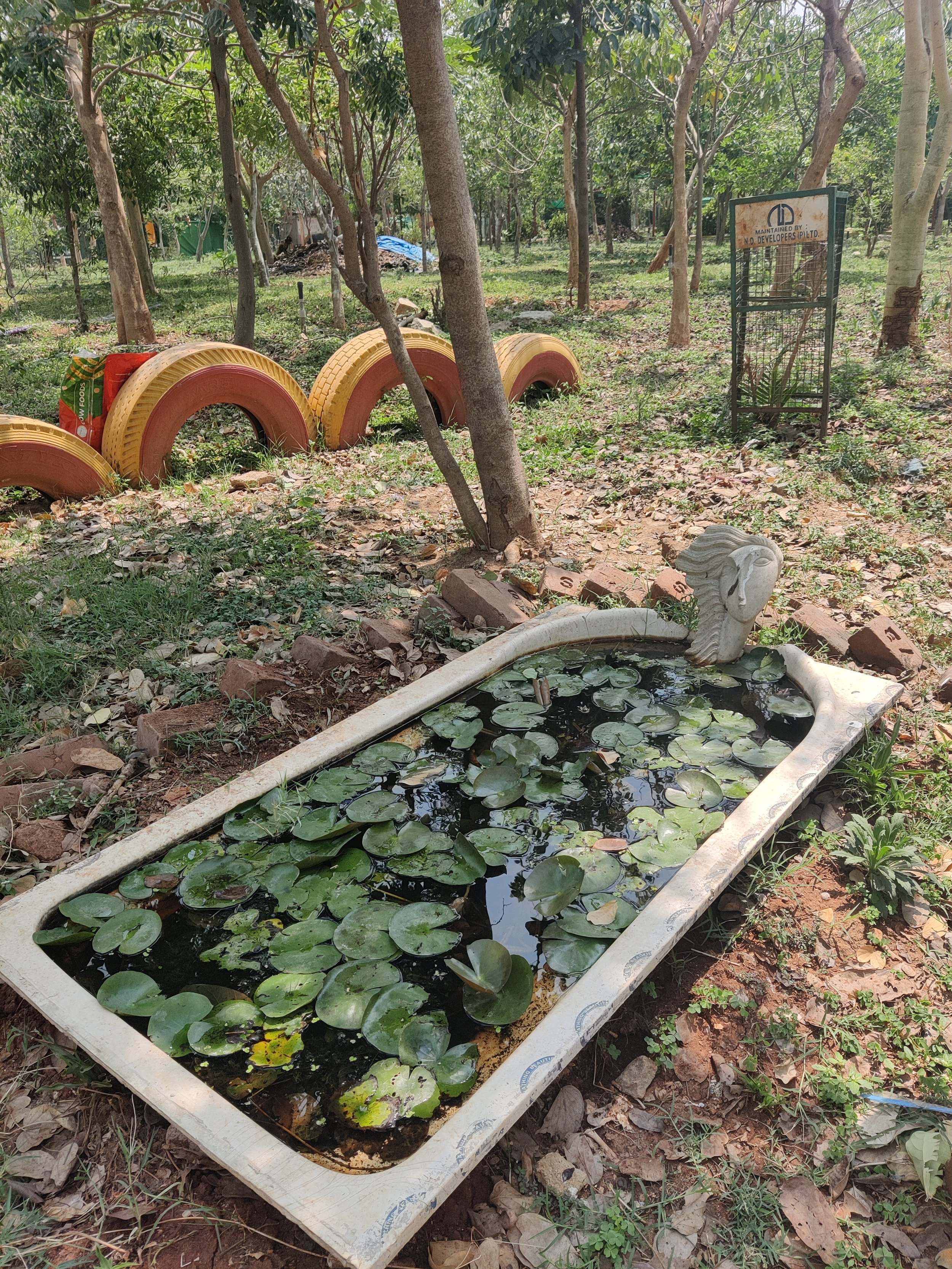 Ponds made out of discarded tub