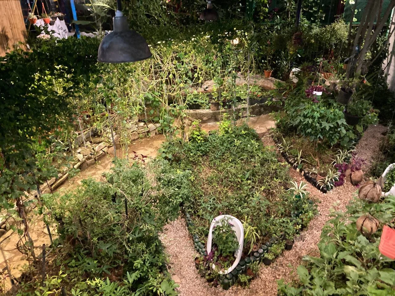 Garden after 3 years