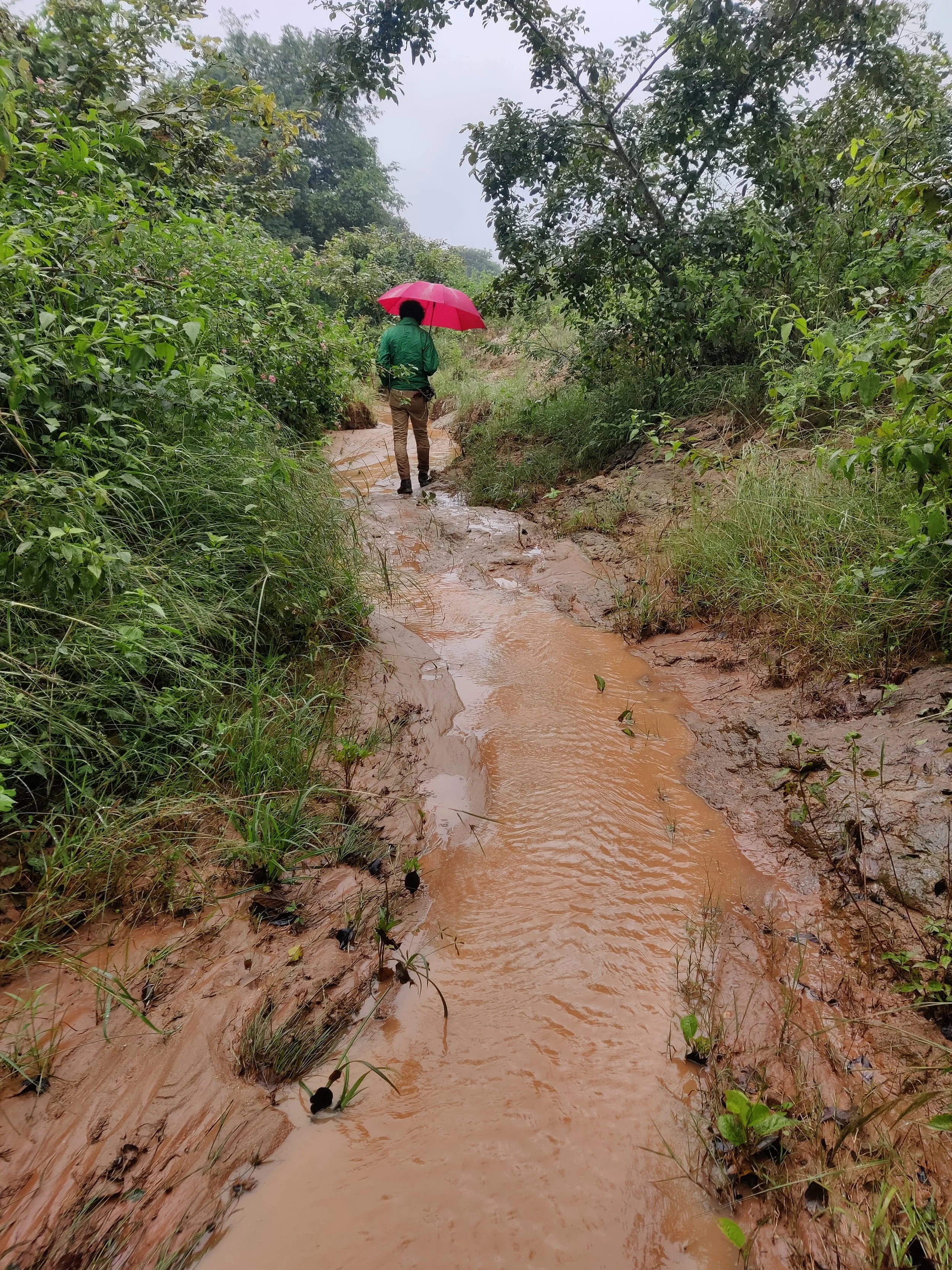Streams during the monsoon