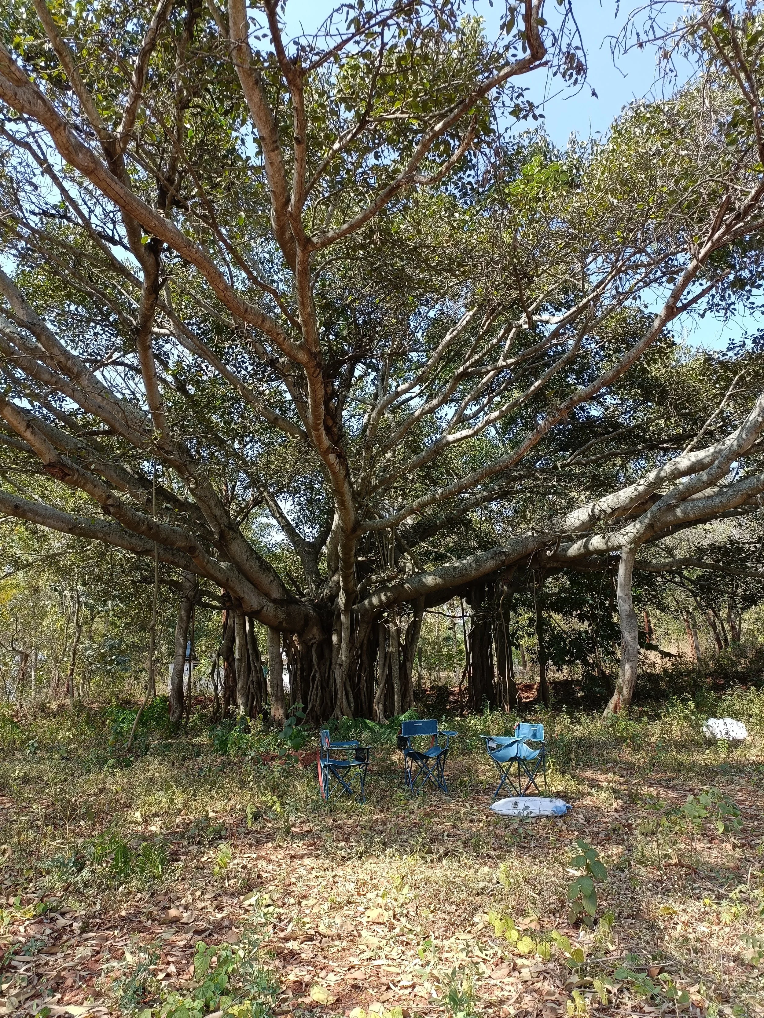 Base camp for site work