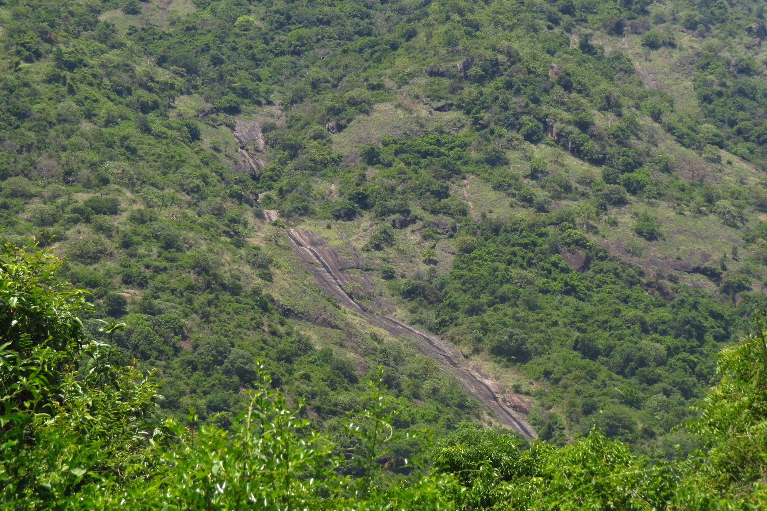 Waterfalls on the Palani hills feeding site