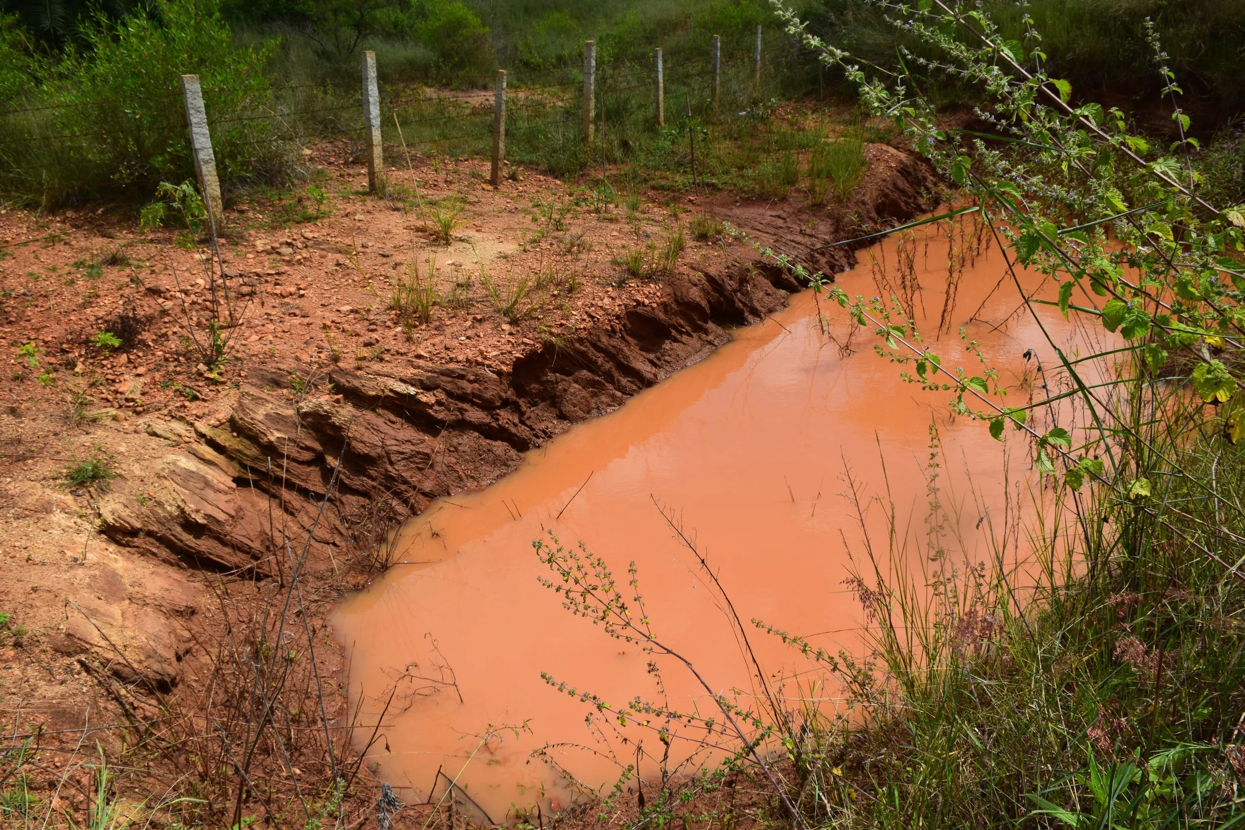 Pond 1 full in October '25, with overflow series working well