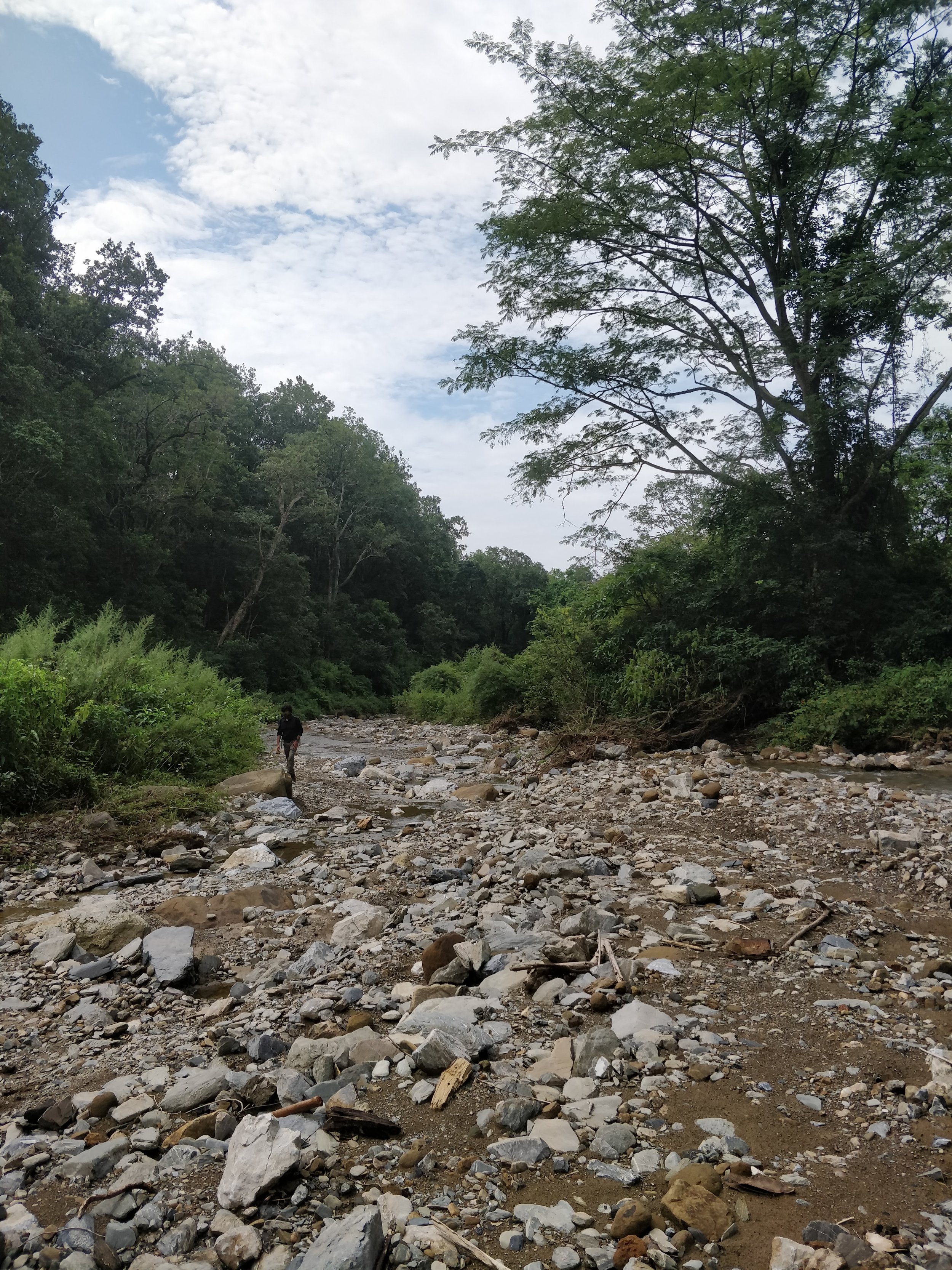 Stream bed southwest of the land