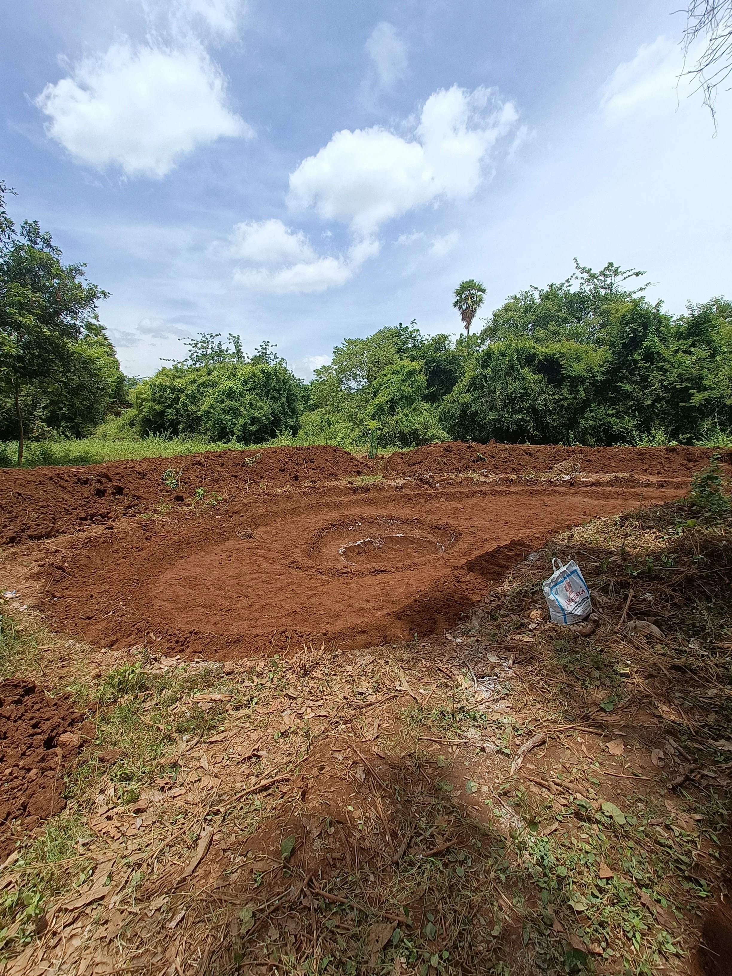 Pond after finishing