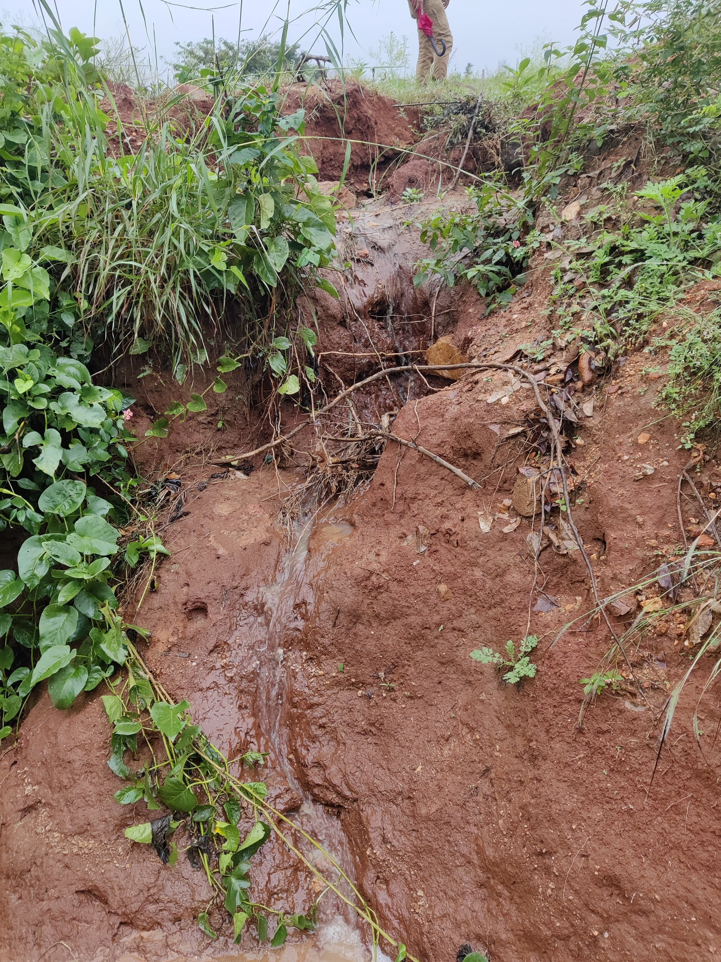 Flow observed during the monsoon