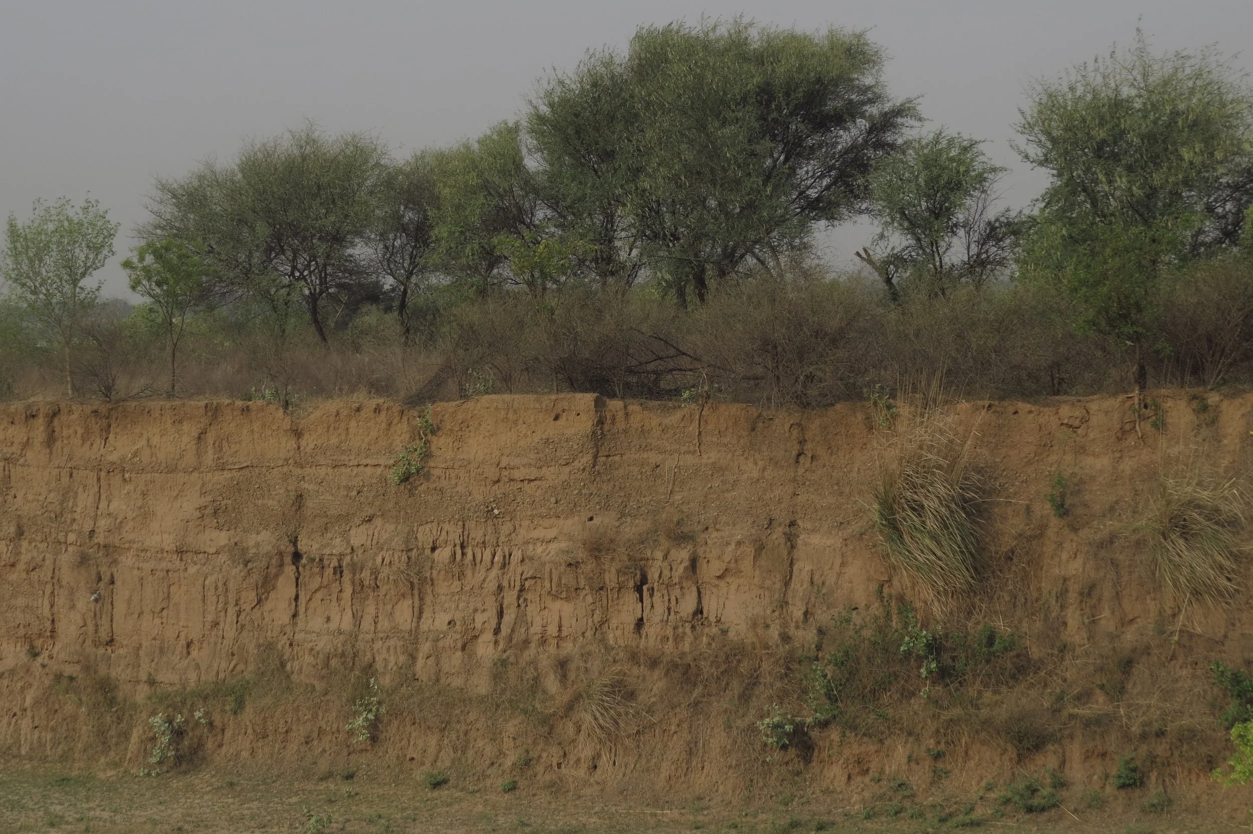 Cross section of neighbouring parcel (SW) showing scale of cutting and levelling