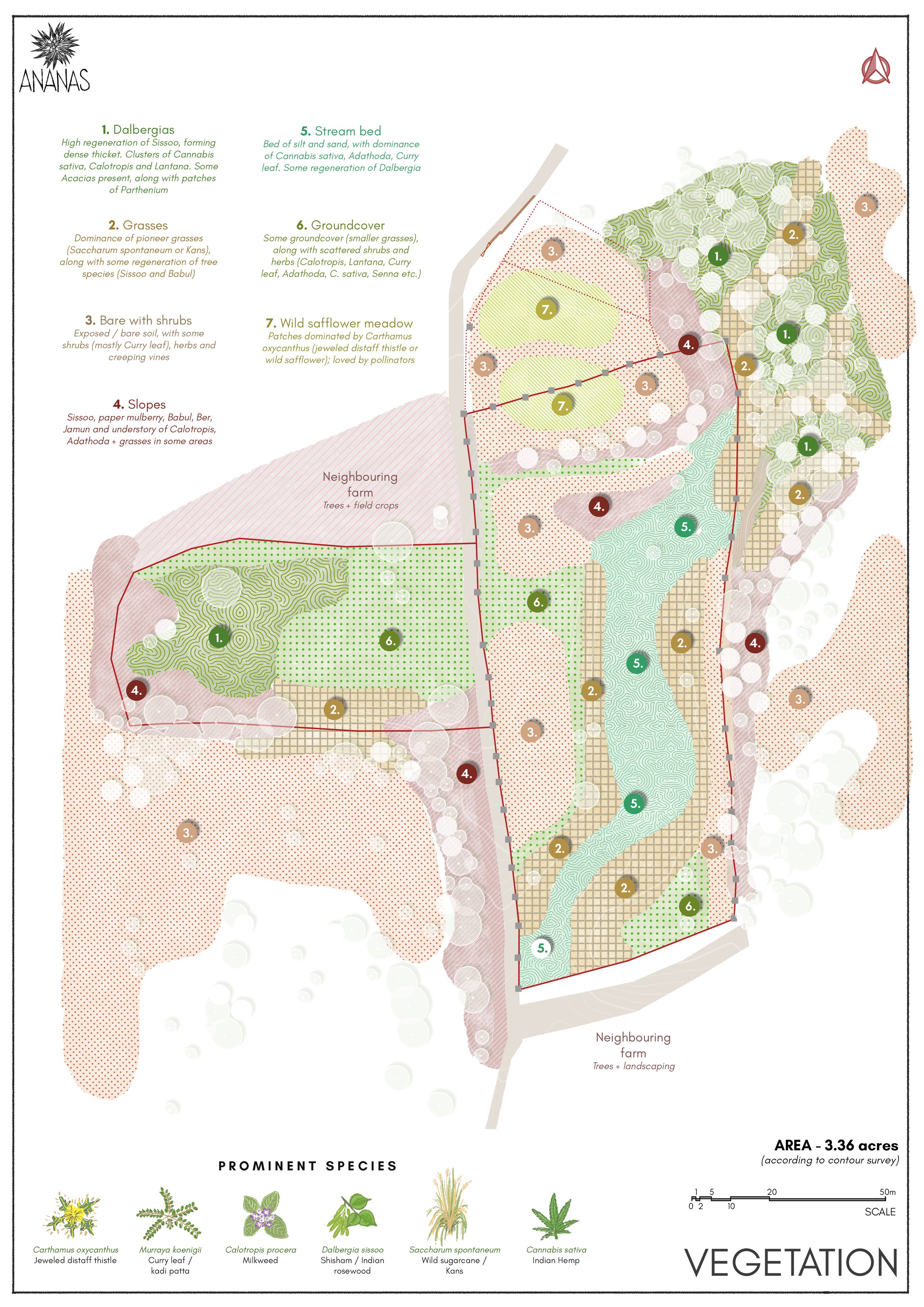 16 - Vegetation Map.jpg