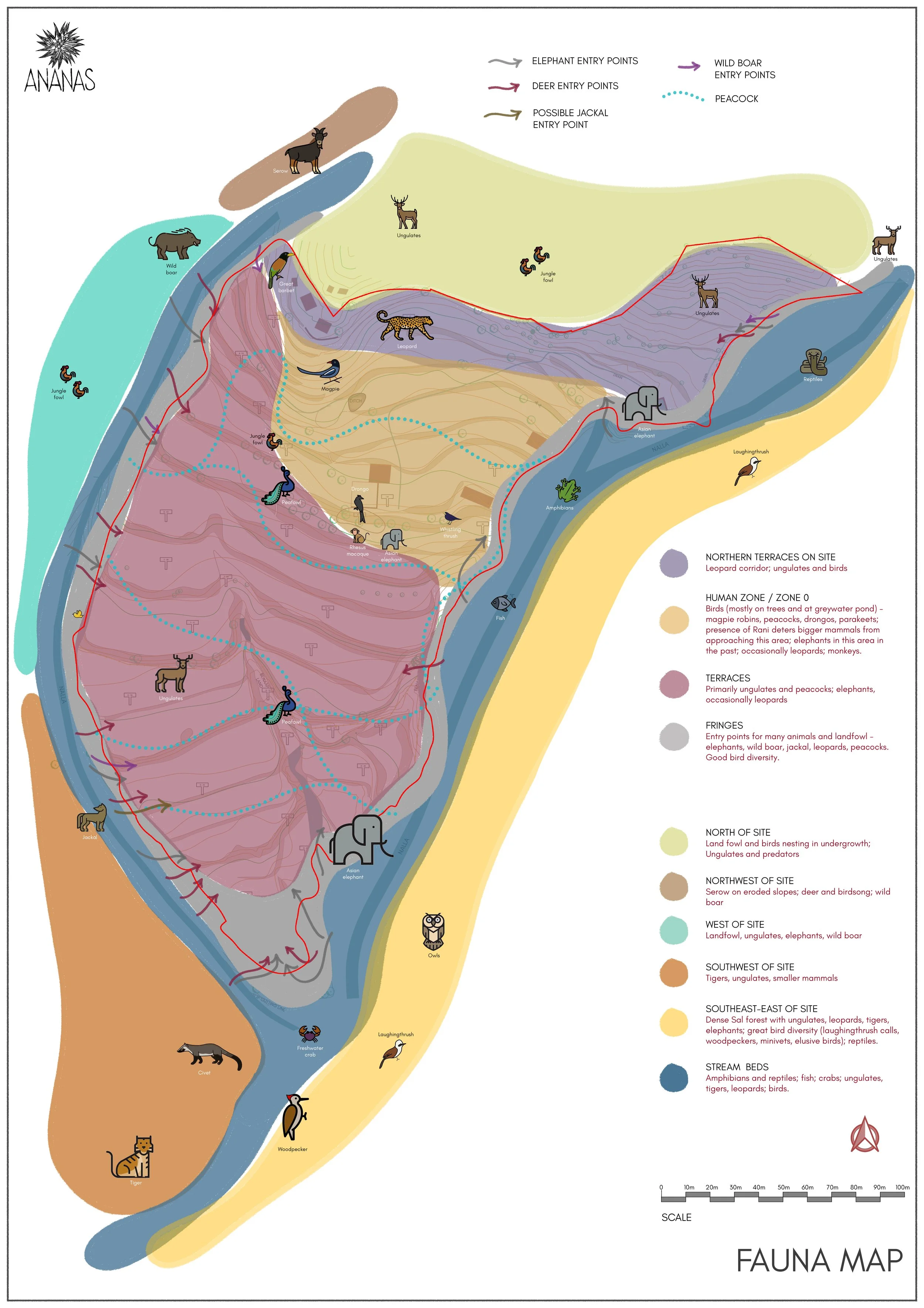 11_Fauna Map Regions.jpg