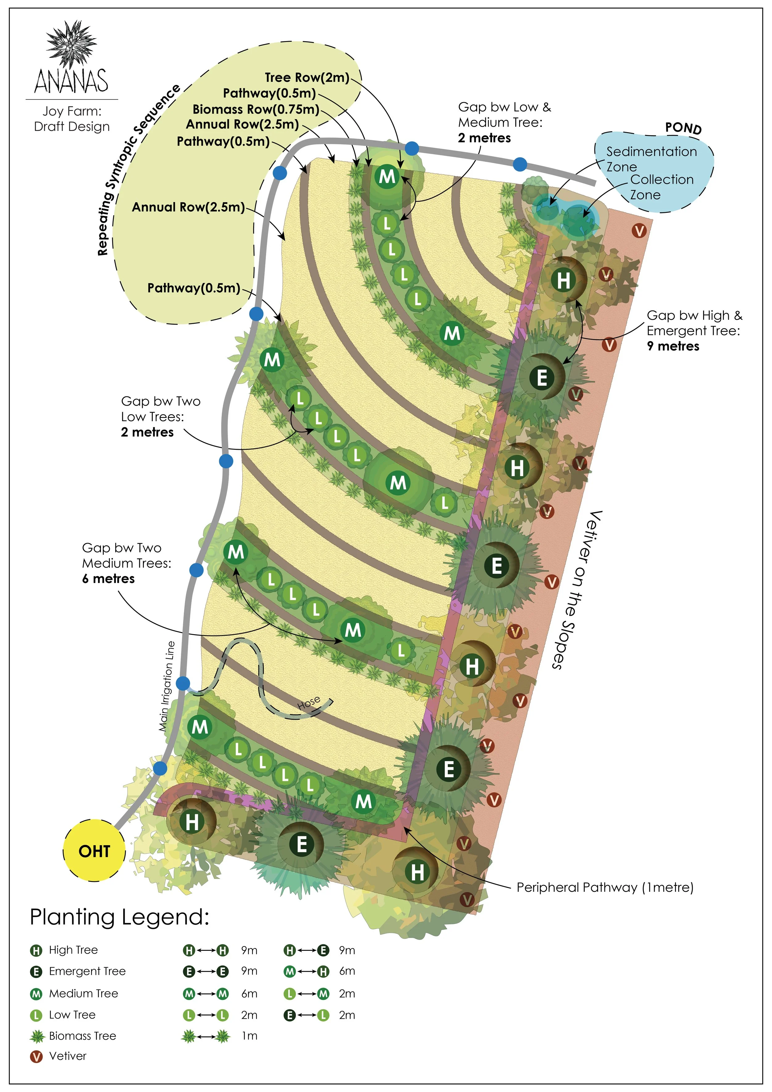 Planting plan - Joy Farm.jpg