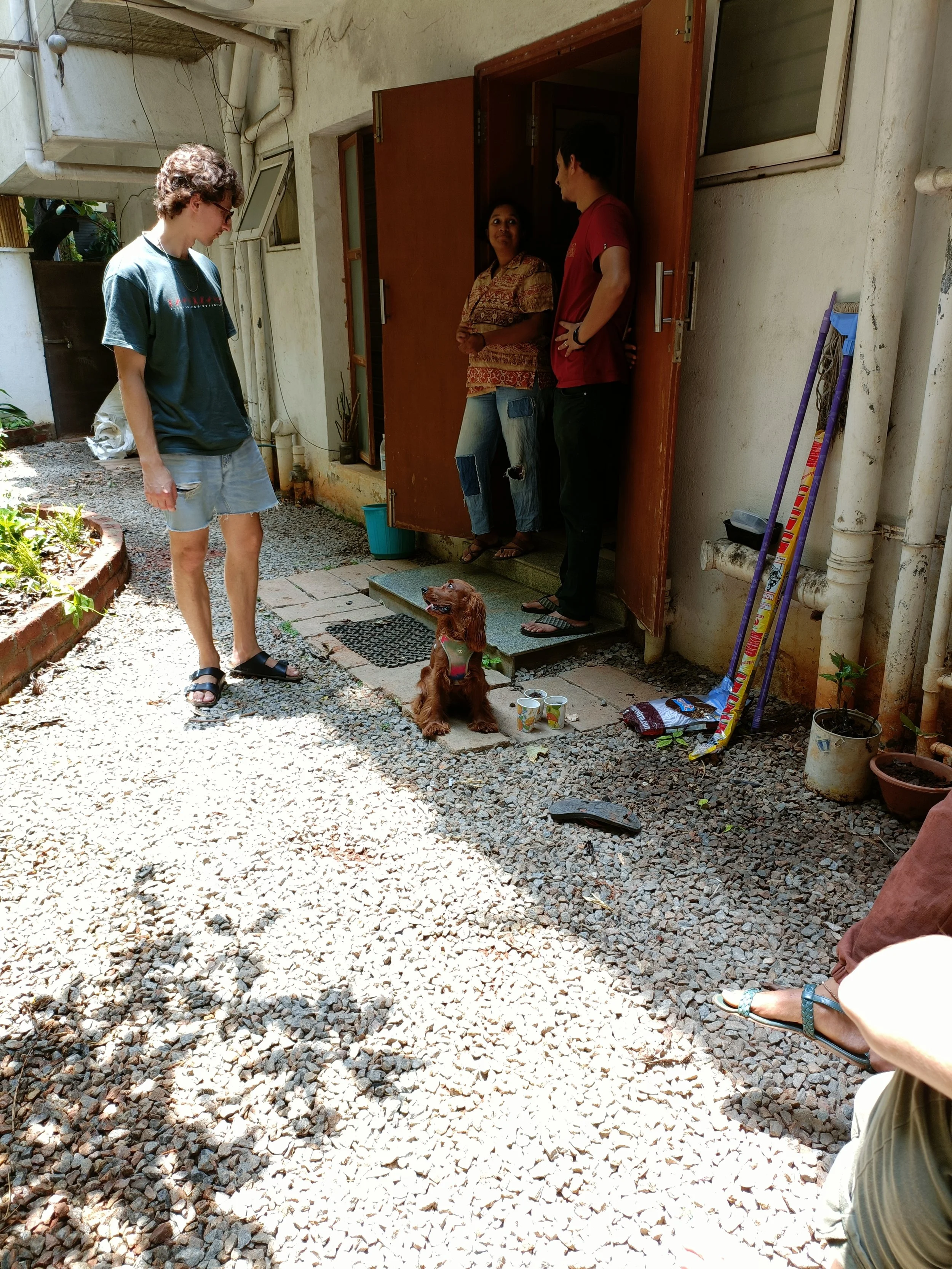 A woman with short curly hair in a blue t-shirt and shorts stands outside on a gravel path, looking at a brown dog sitting in front of her. The dog is wearing a bandana and there are two cups and a snack on the ground near the dog. Two people are sta