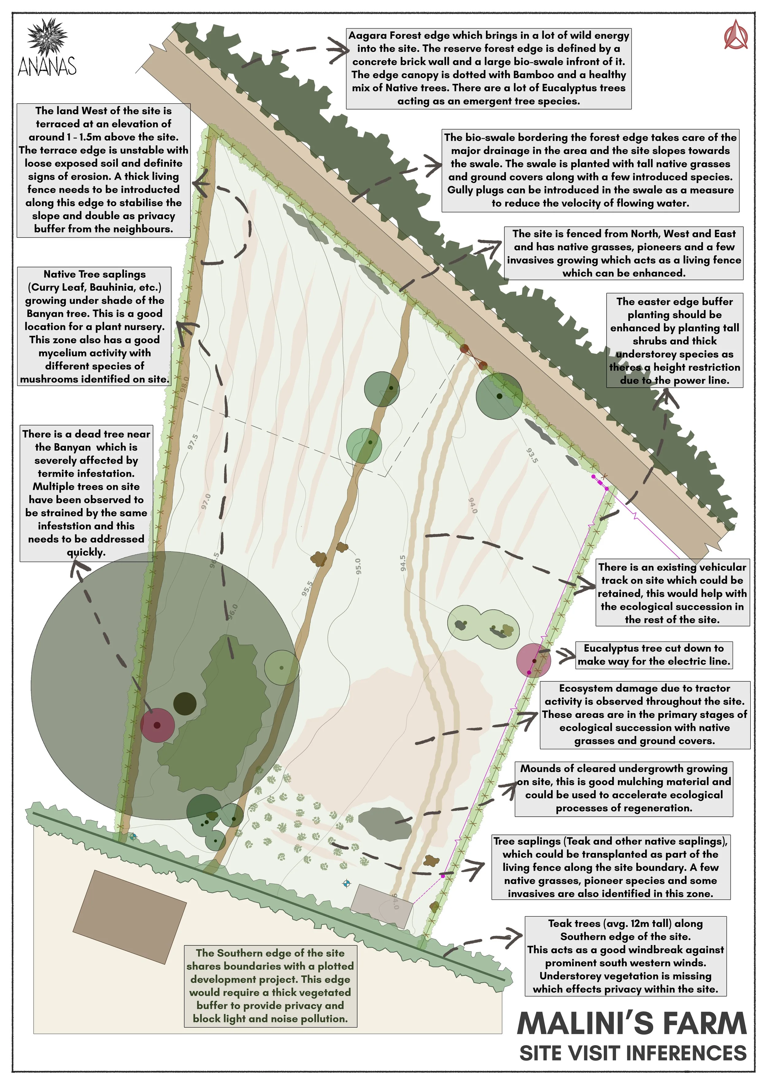 0 - Site Visit 1 Observations & Inferences.JPG