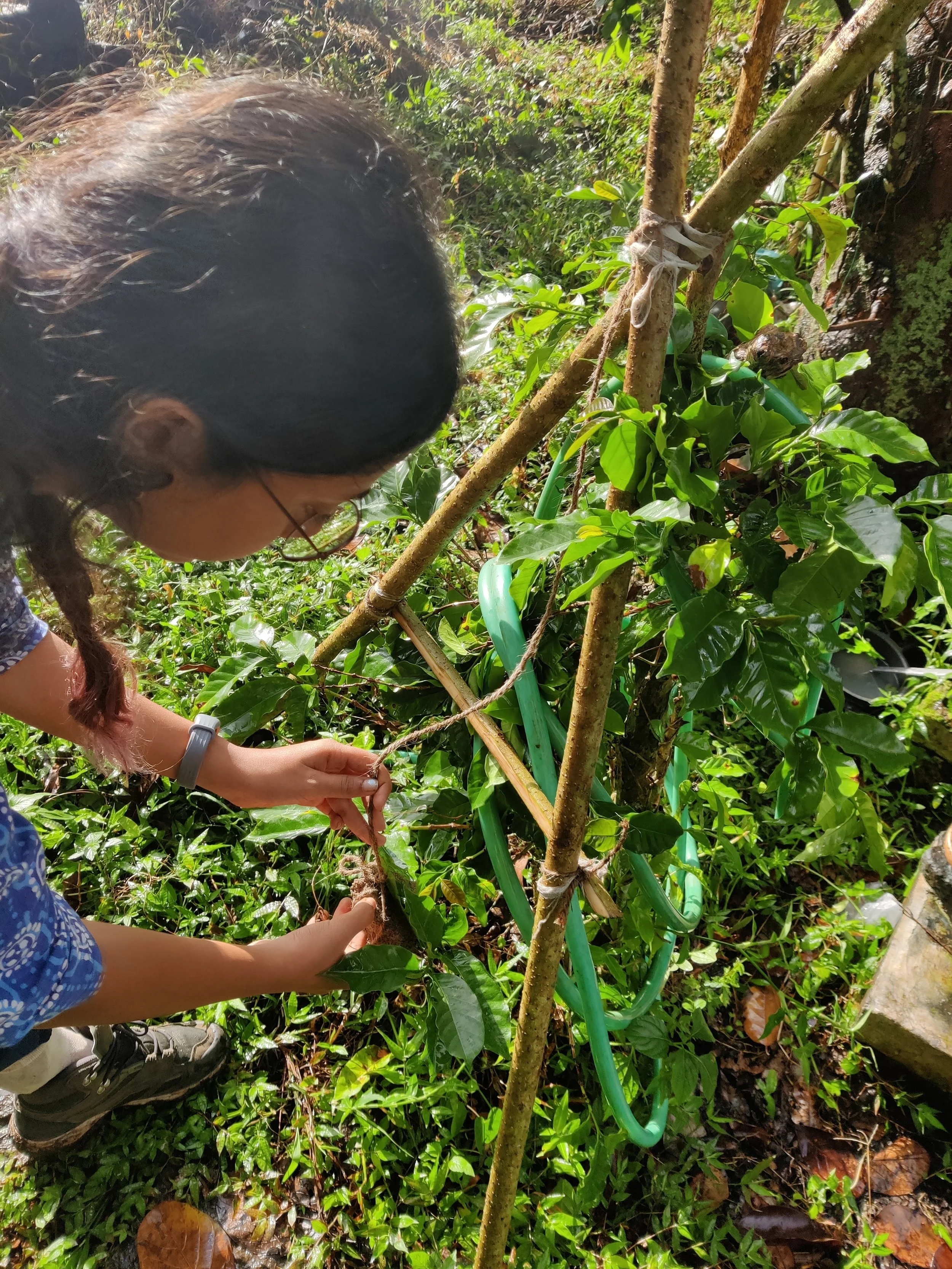 Making an A-frame to mark on-contour trenches on site
