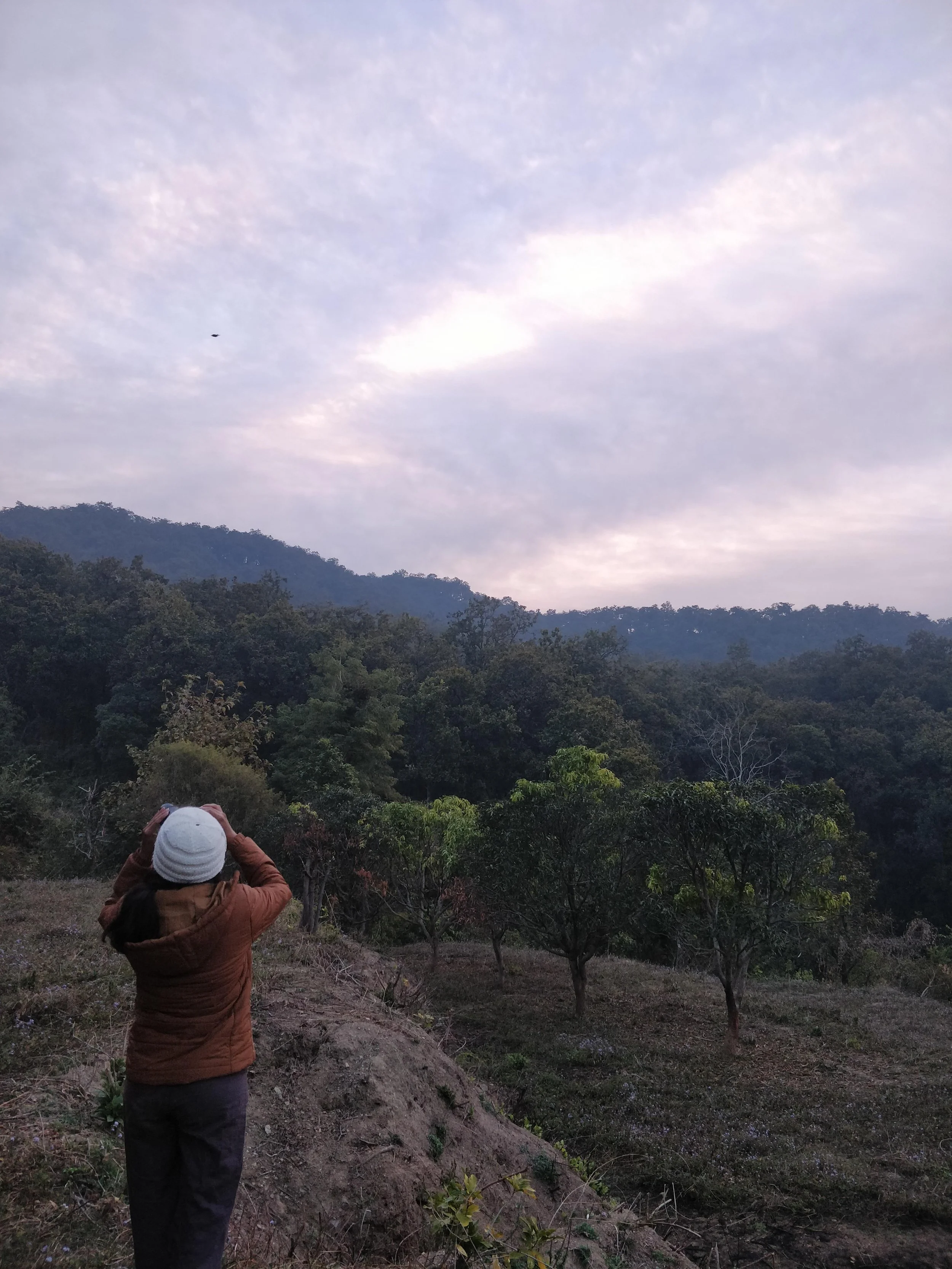 Early morning birding